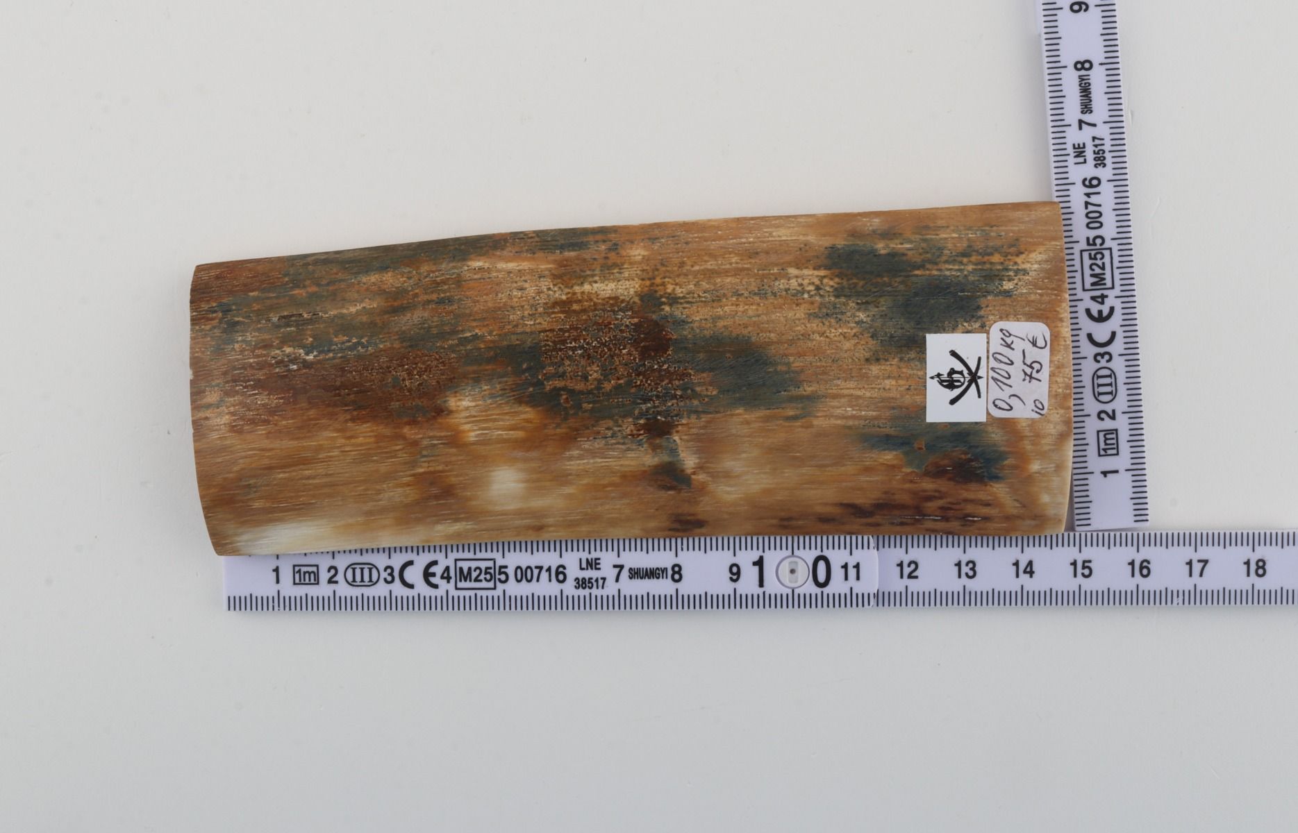Natural woolly mammoth bark