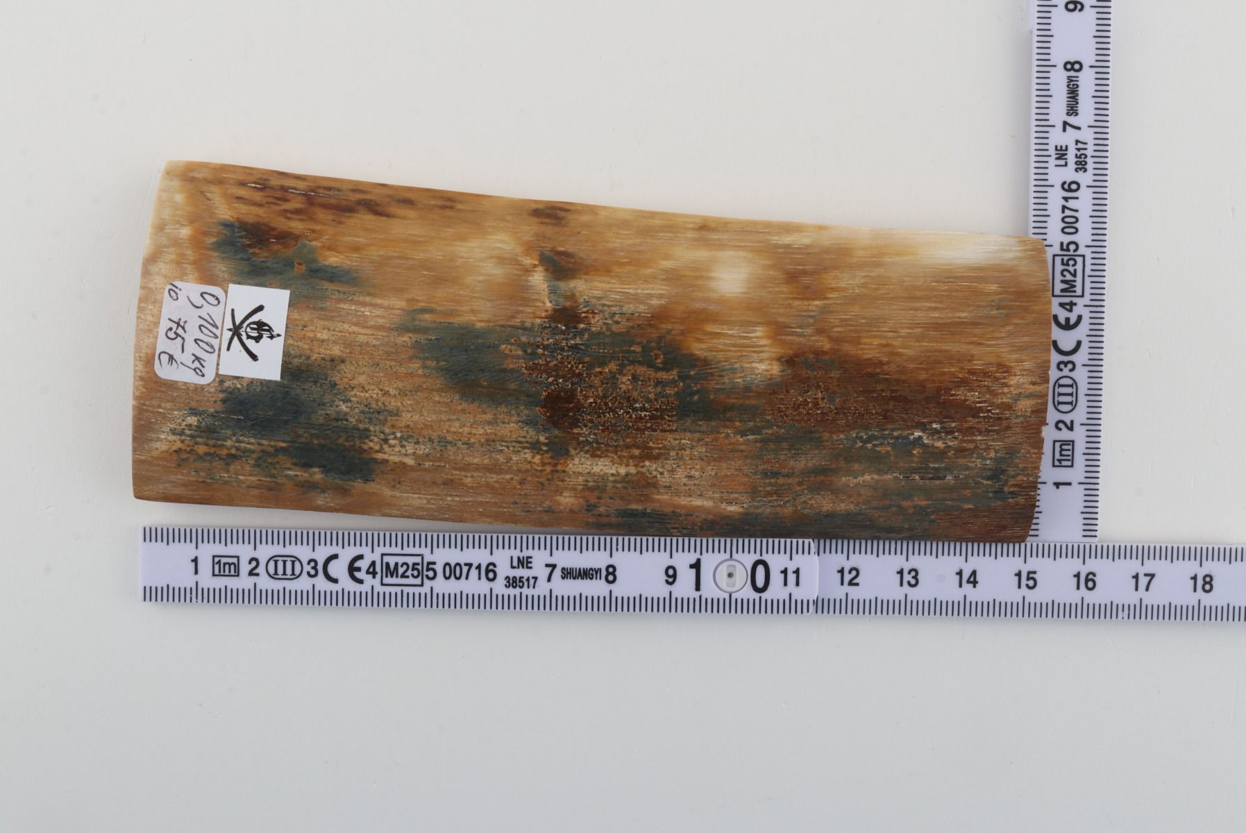 Natural woolly mammoth bark