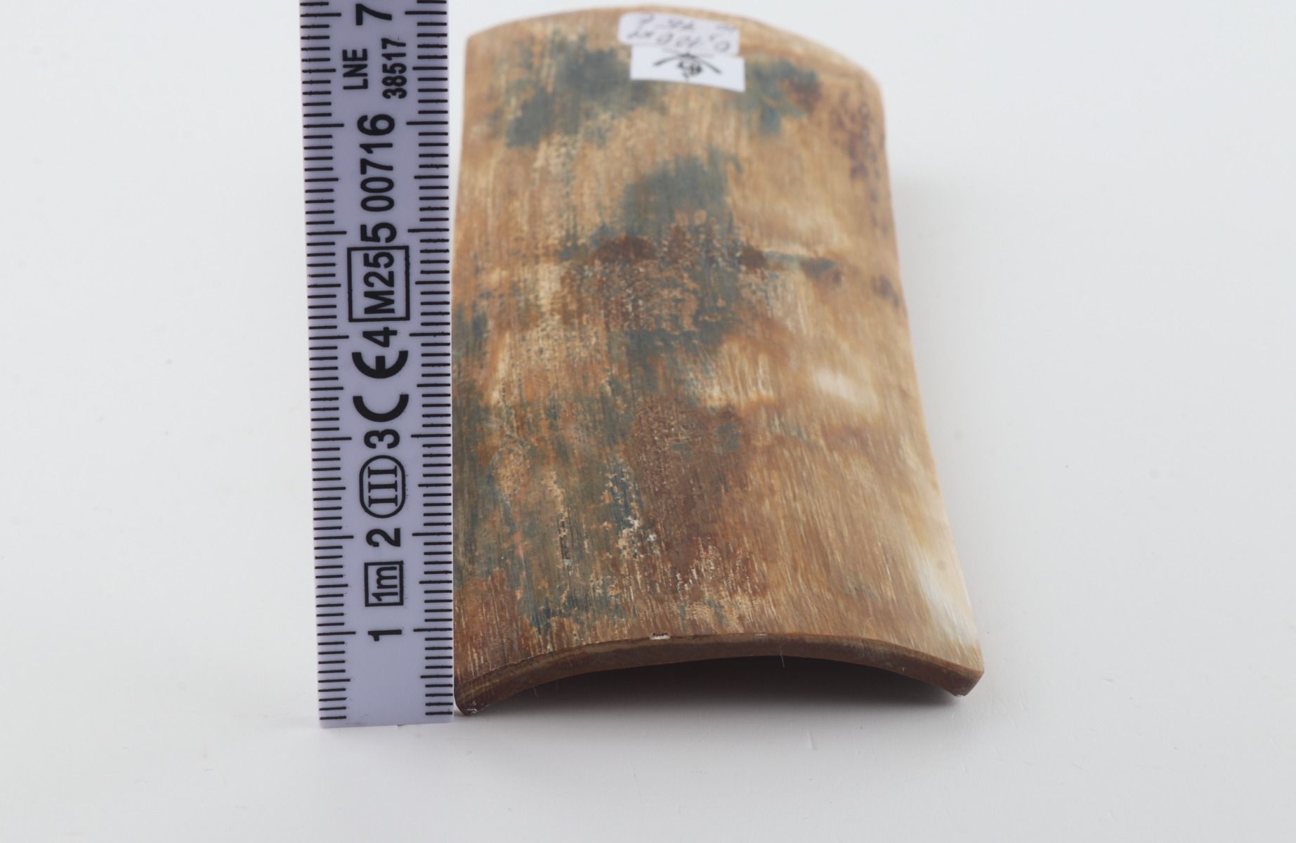 Natural woolly mammoth bark