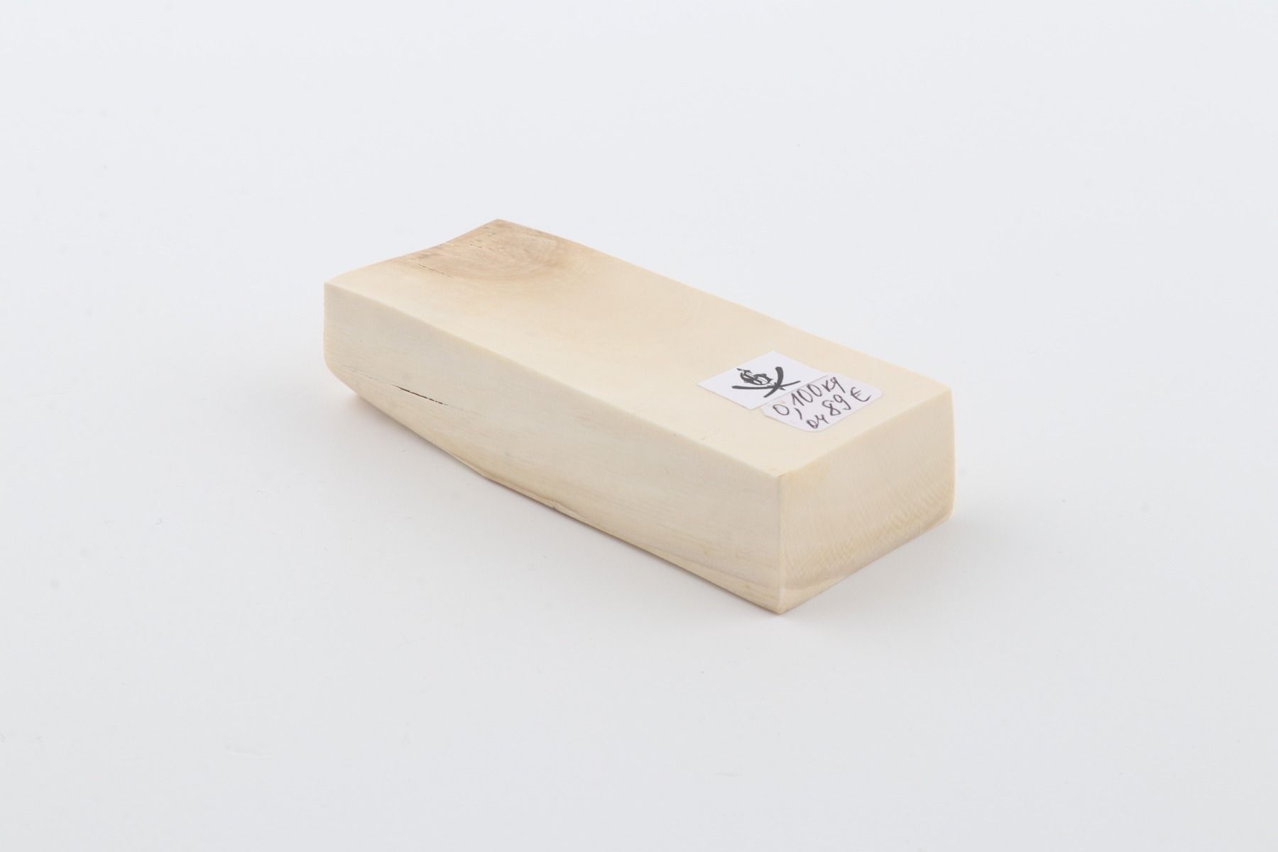 White mammoth ivory segment