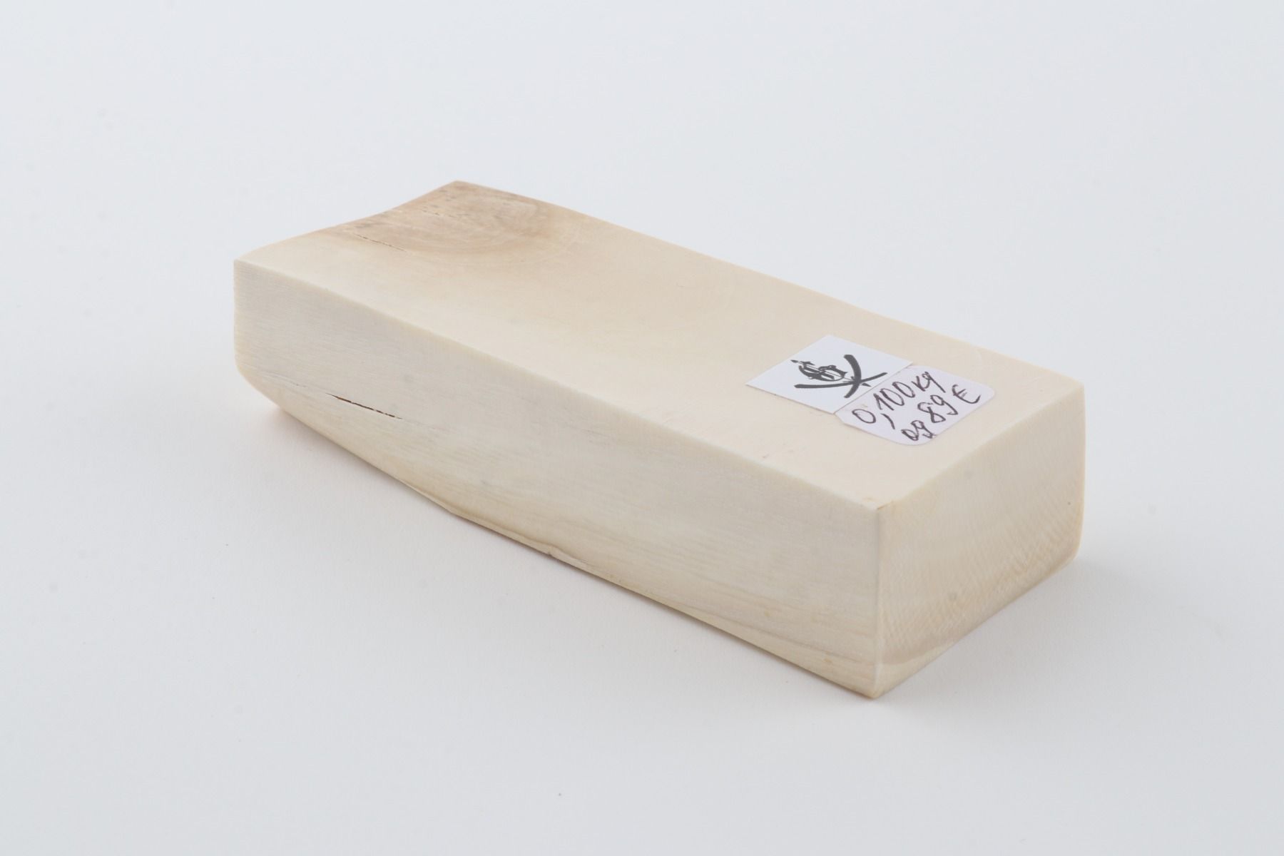 White mammoth ivory segment