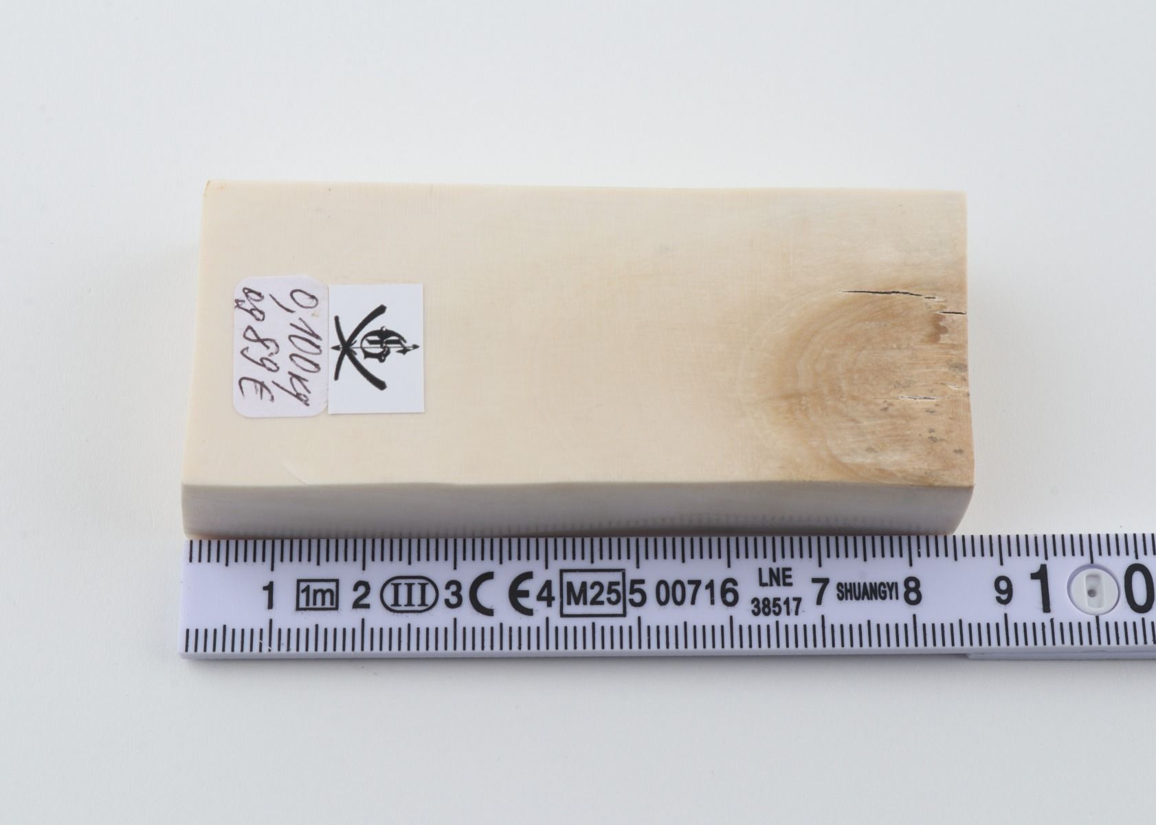 White mammoth ivory segment