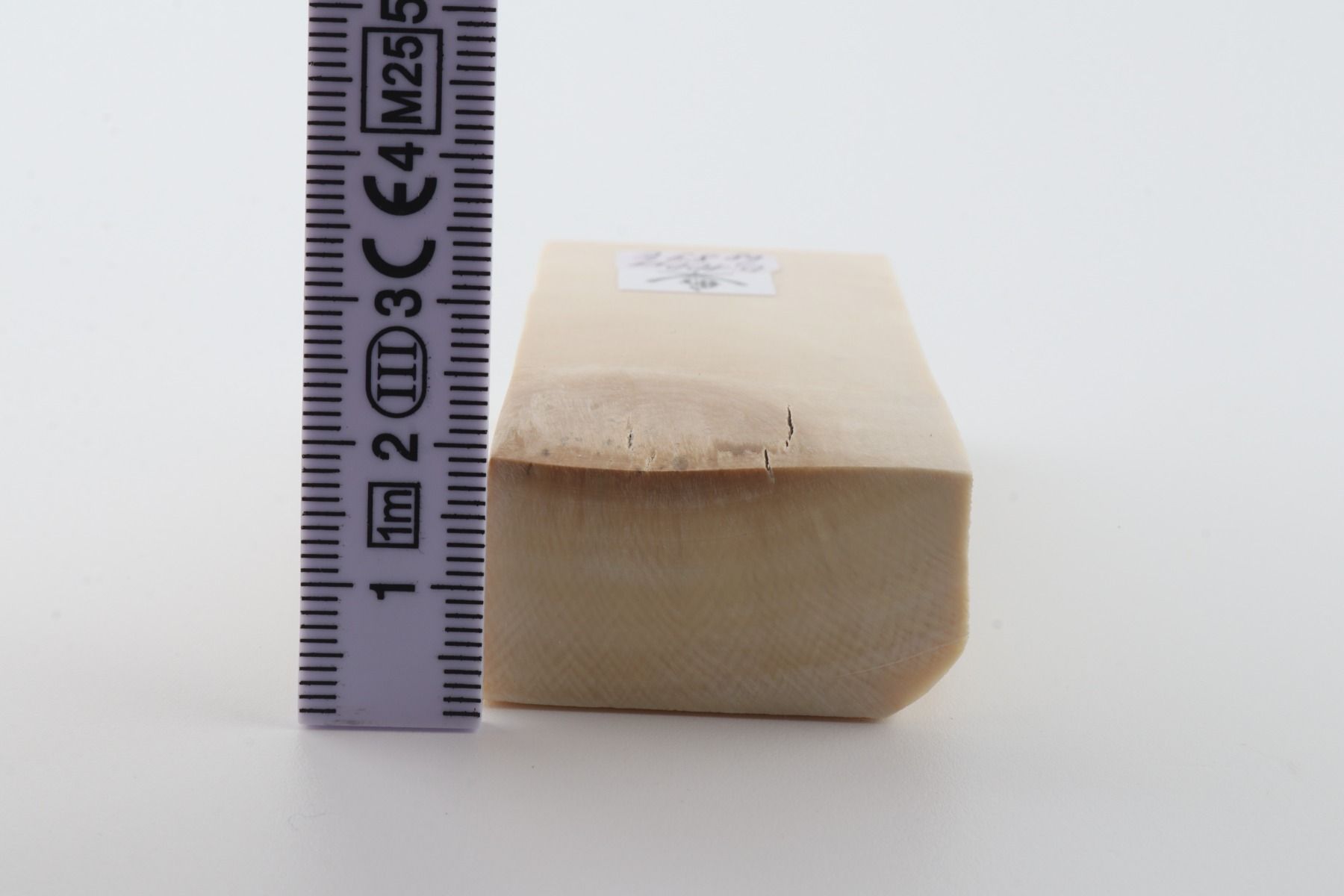 White mammoth ivory segment