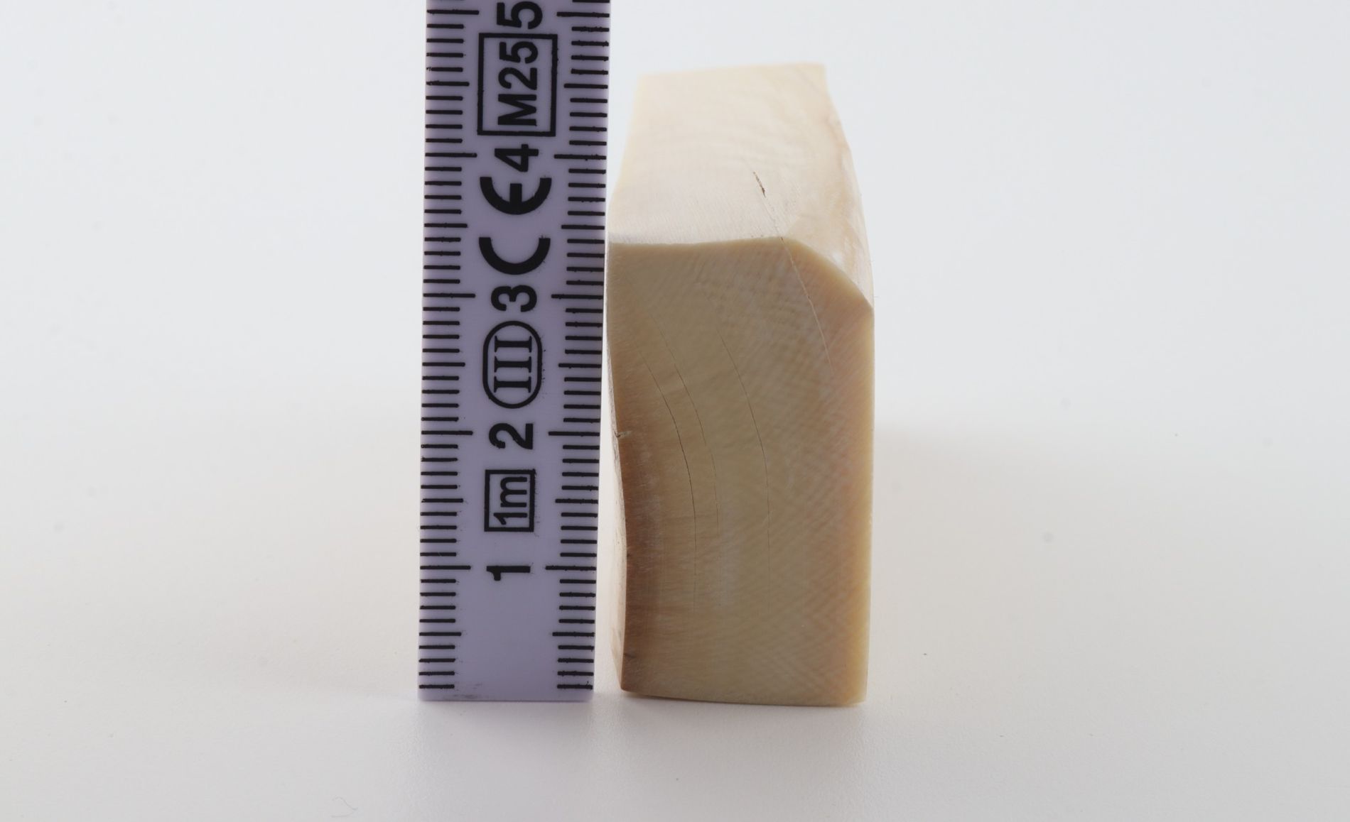 White mammoth ivory segment