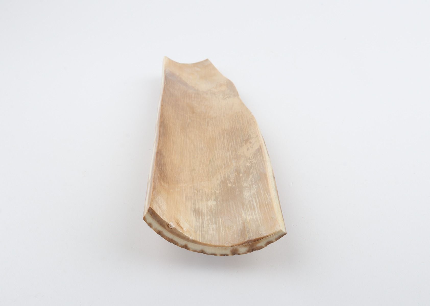 Beige mammoth bark