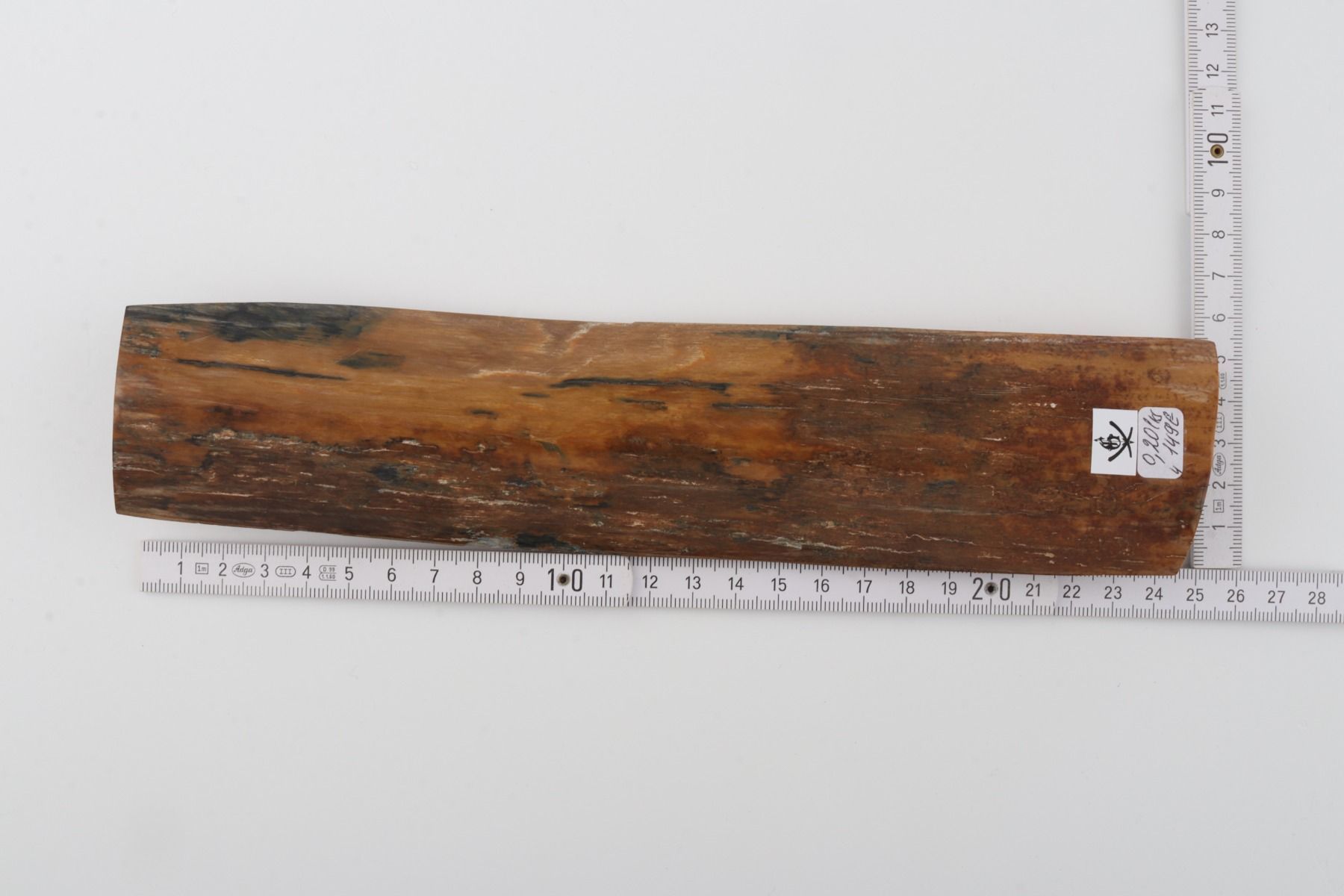 Brown mammoth bark