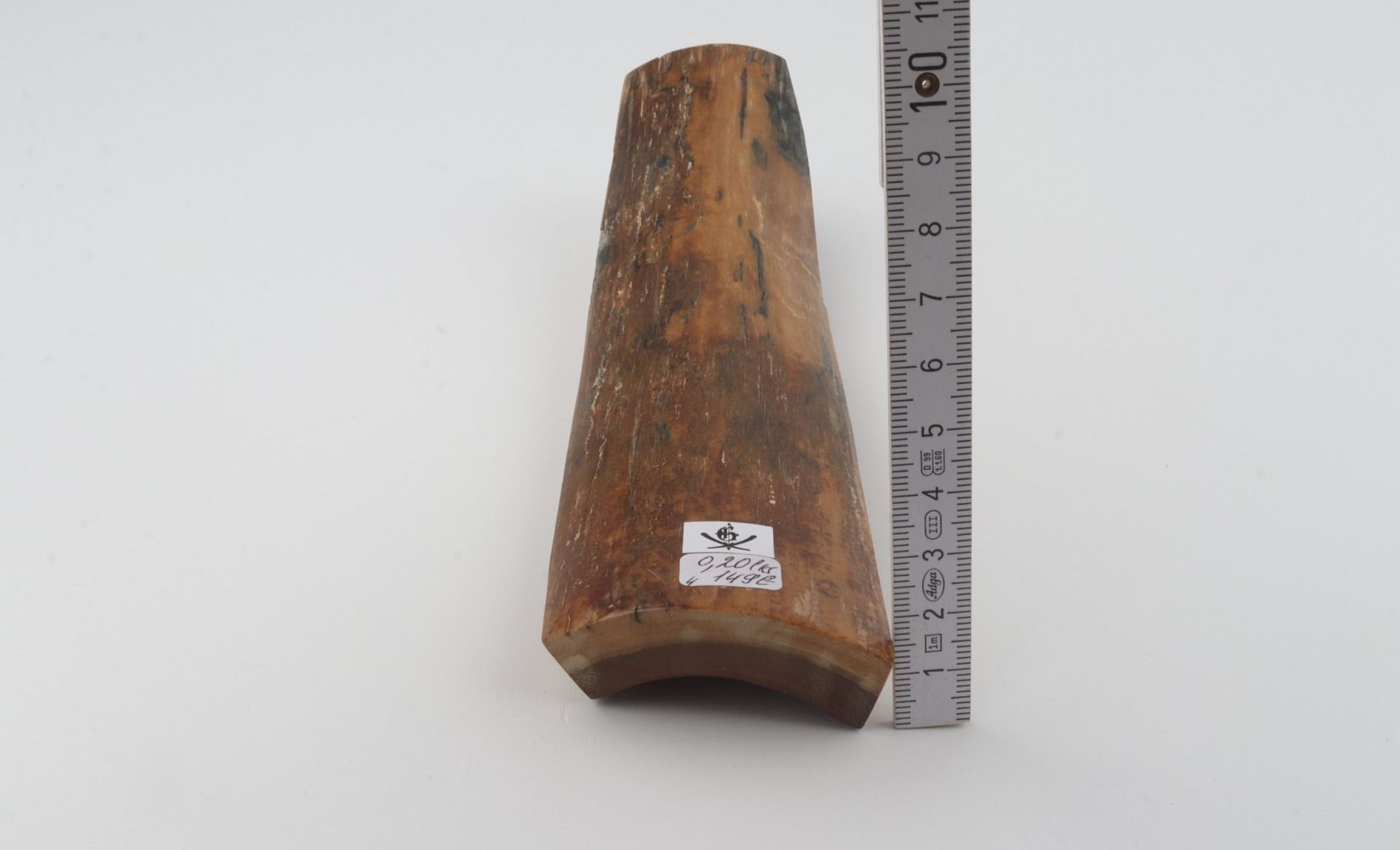 Brown mammoth bark