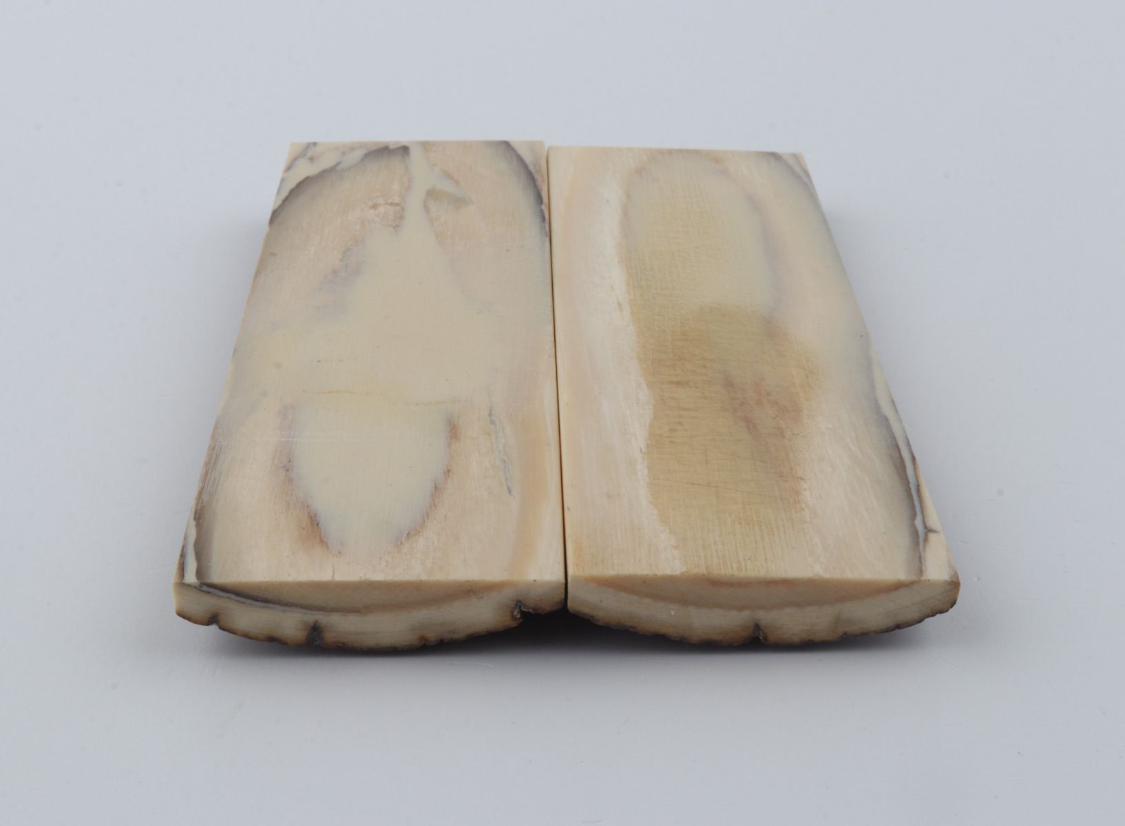 Stabilized mammoth bark scales