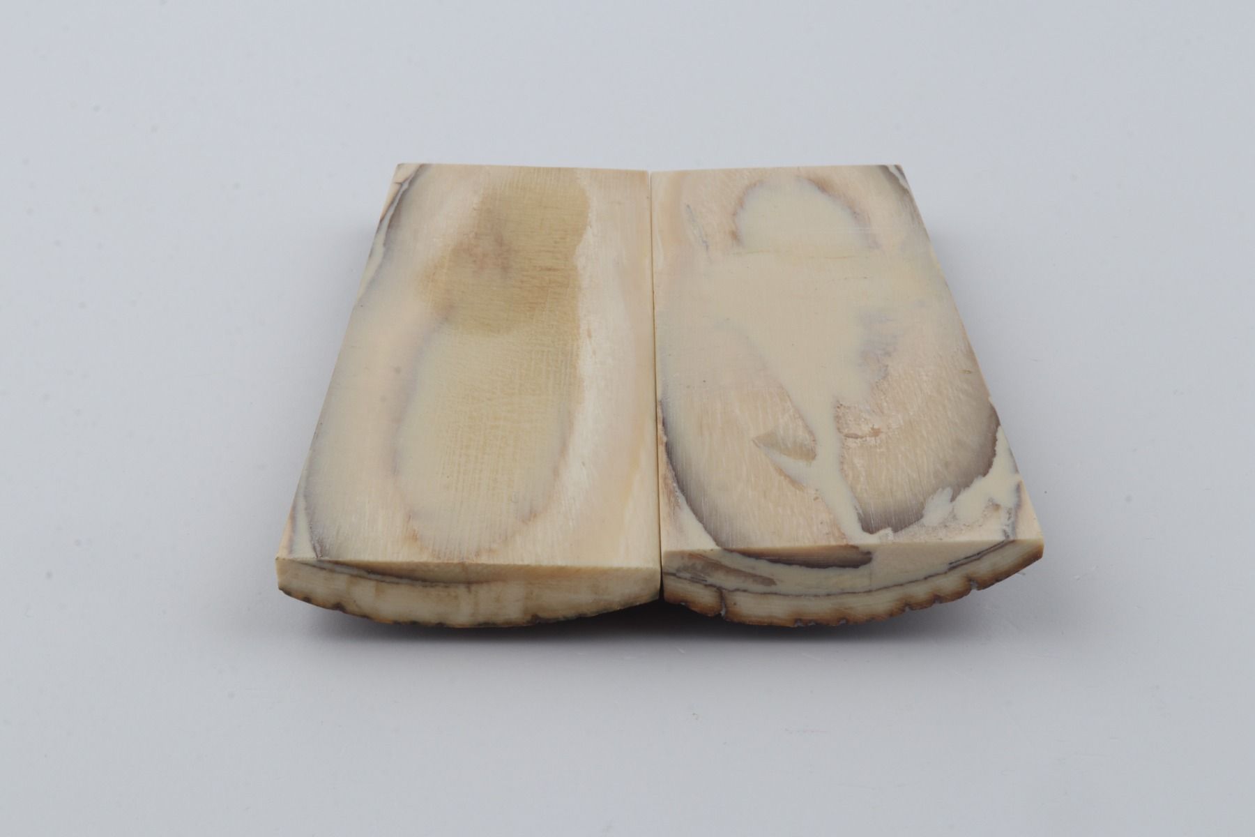 Stabilized mammoth bark scales