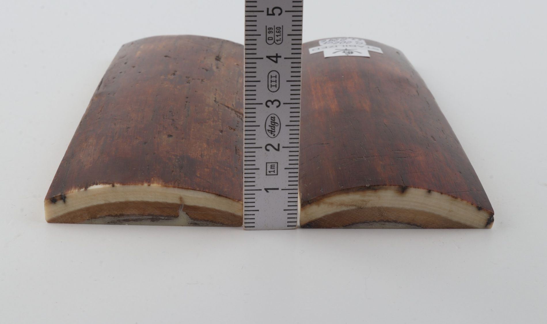 Stabilised mammoth bark scales