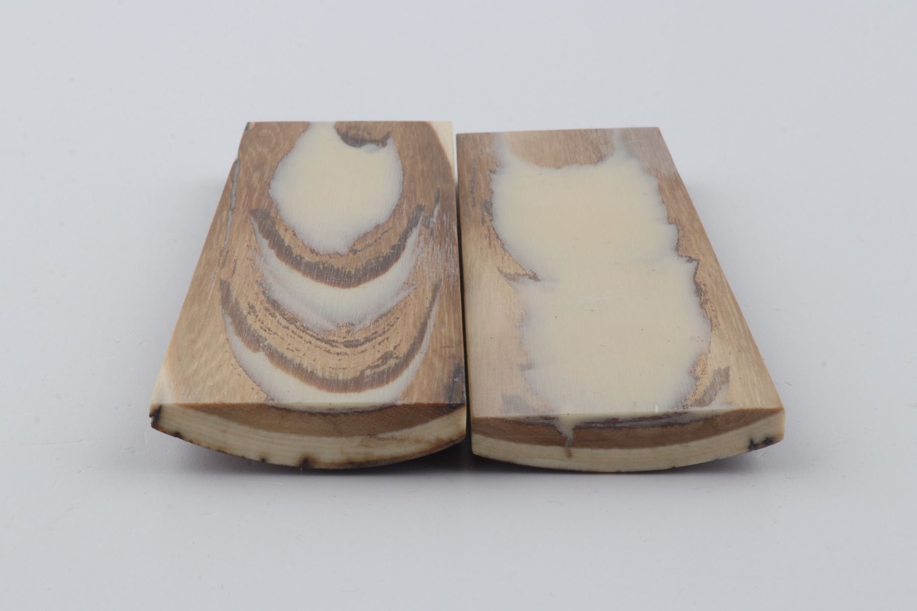 Stabilised mammoth bark scales