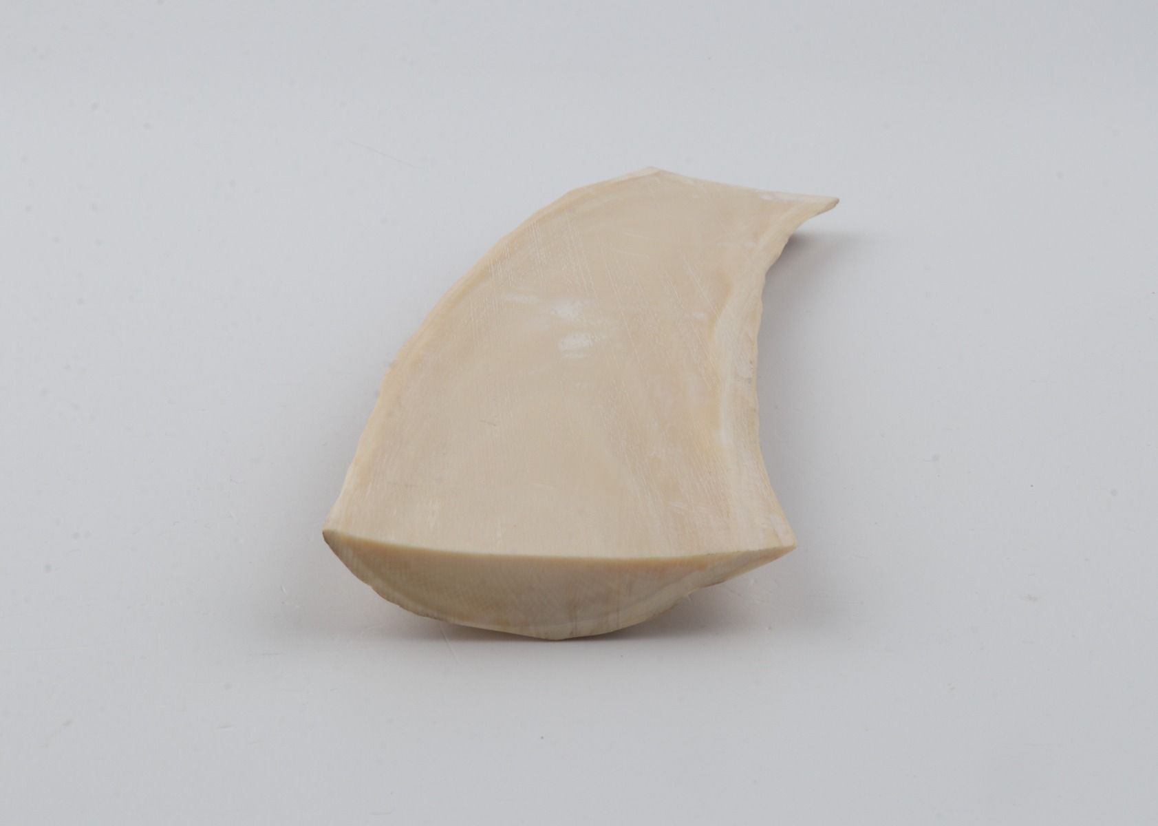 Creme-beige mammoth bark