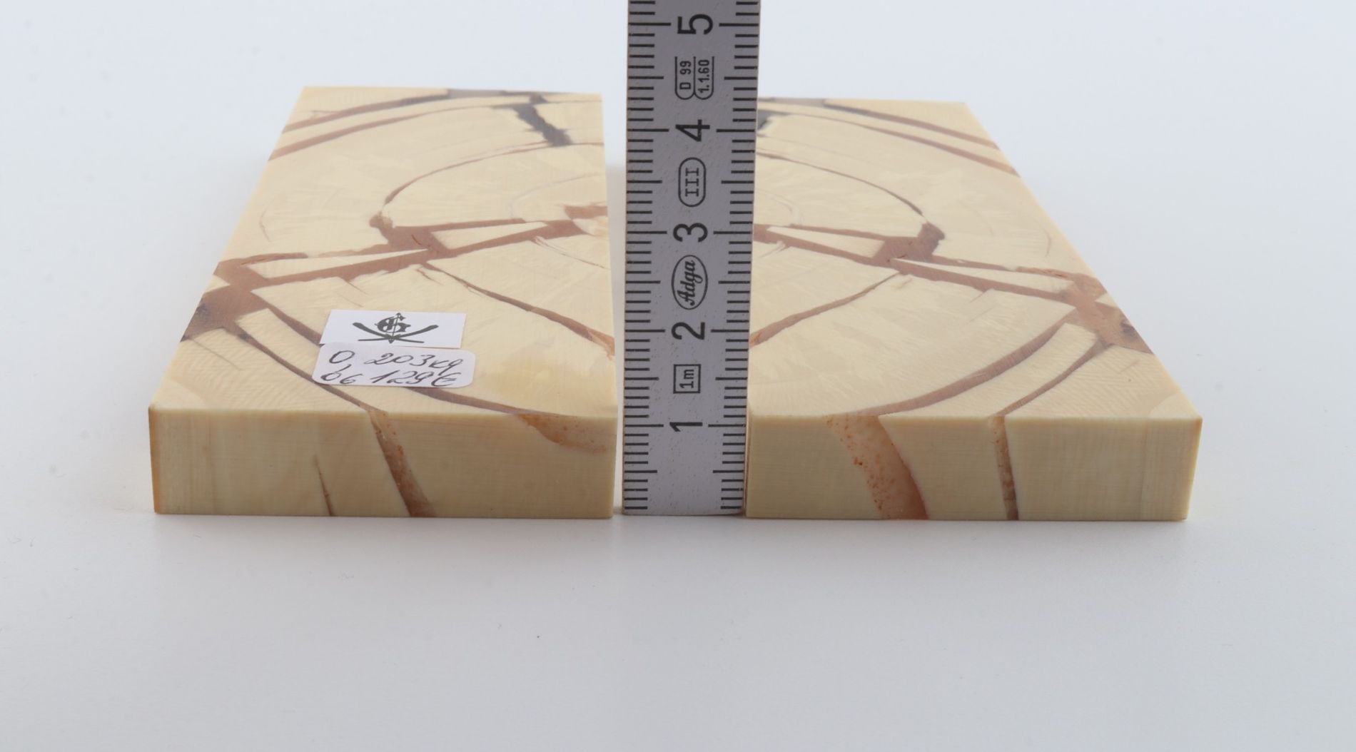 Stabilized mammoth ivory scales