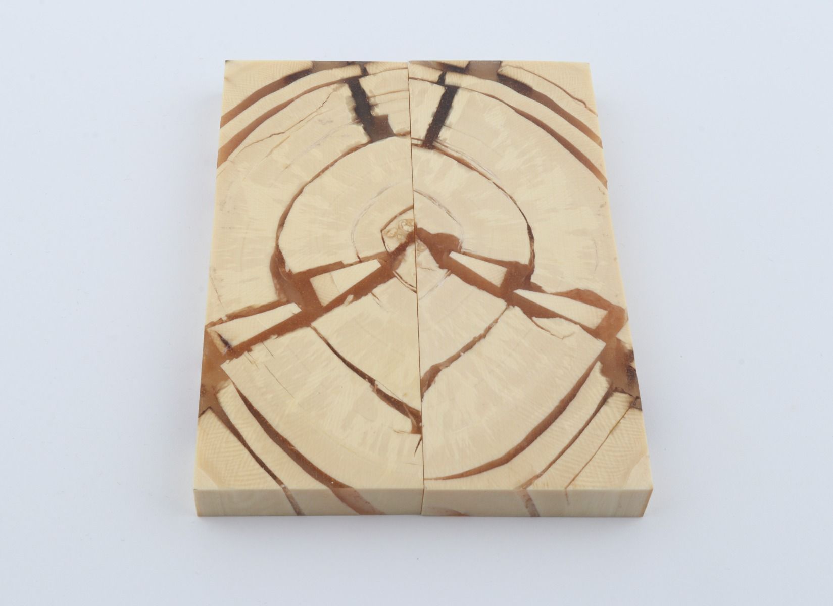 Stabilized mammoth ivory scales