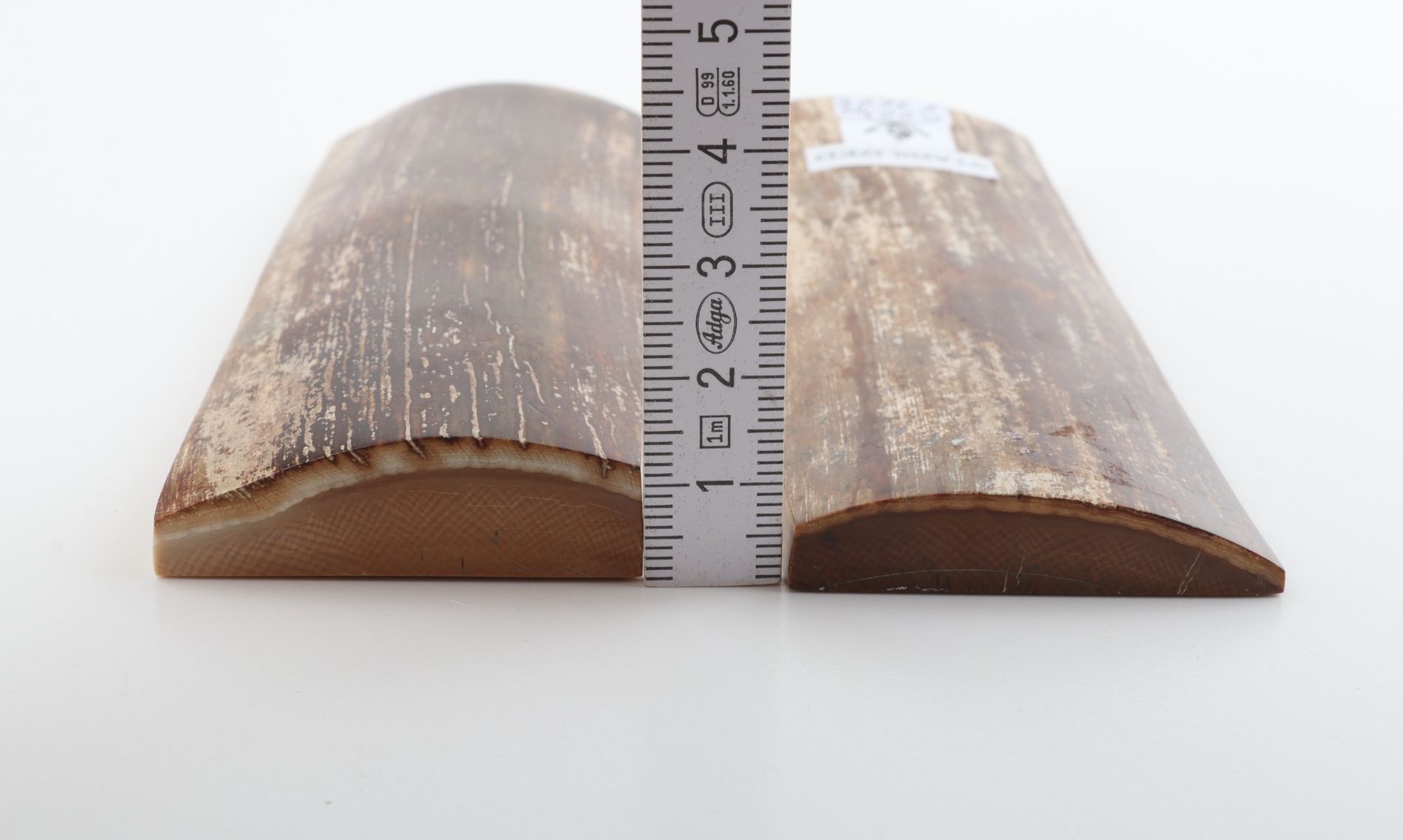 Stabilized mammoth bark scales