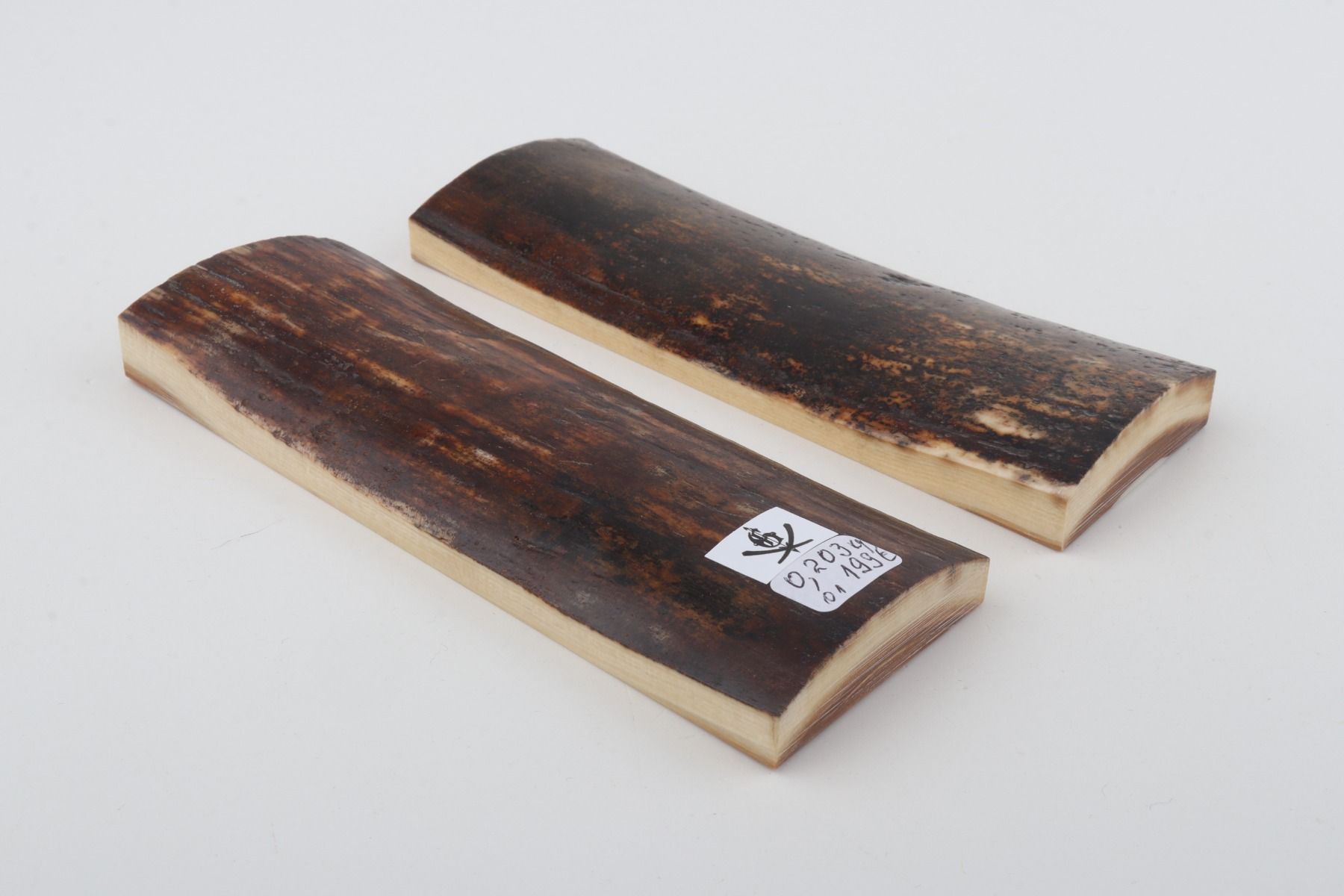 Natural mammoth bark scales