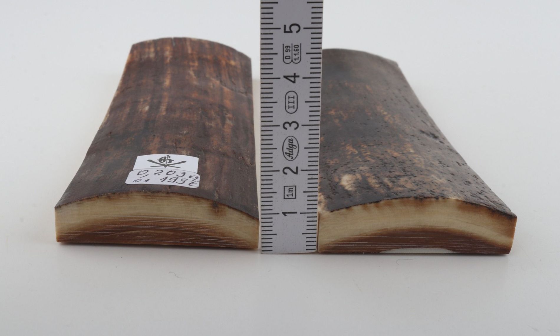 Natural mammoth bark scales