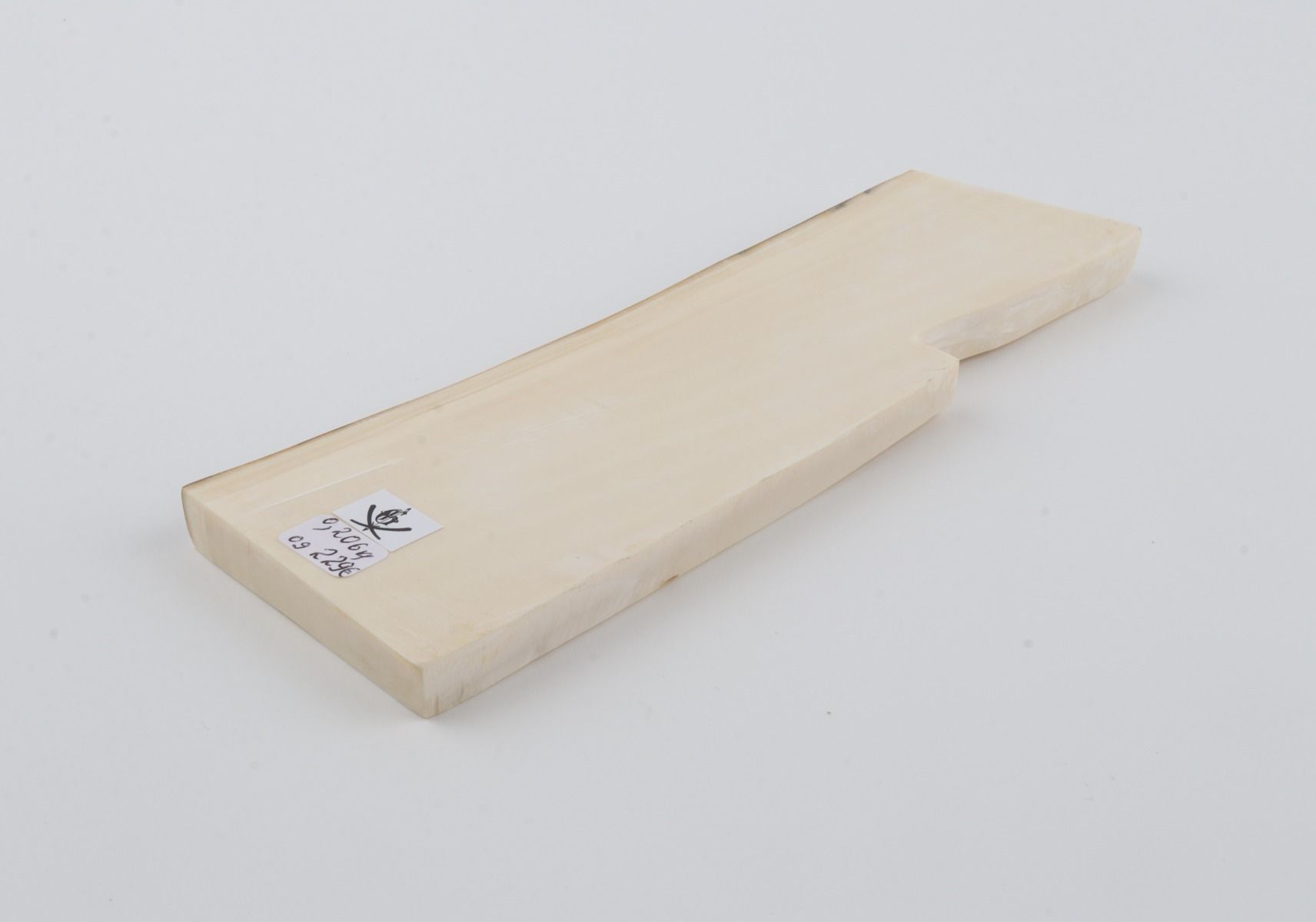White mammoth ivory segment