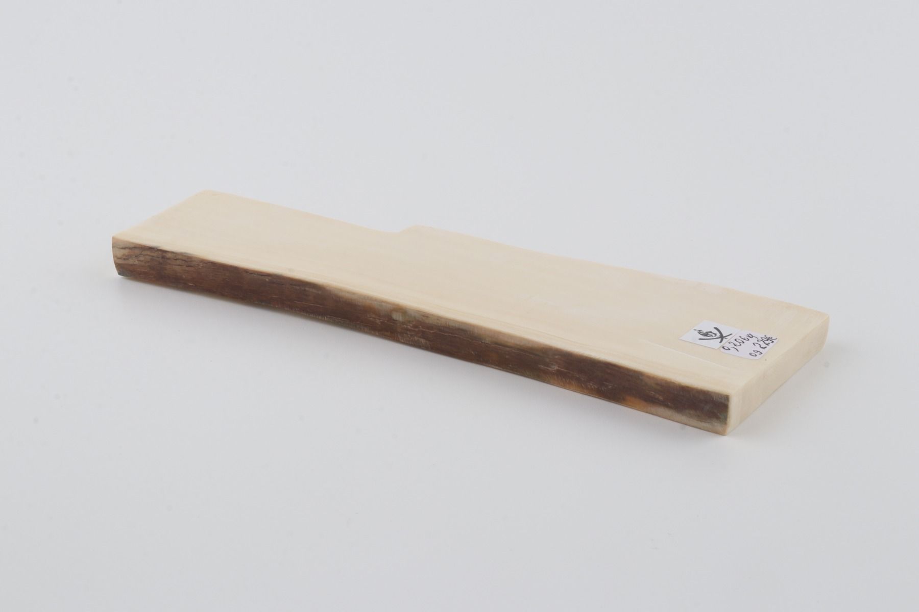 White mammoth ivory segment