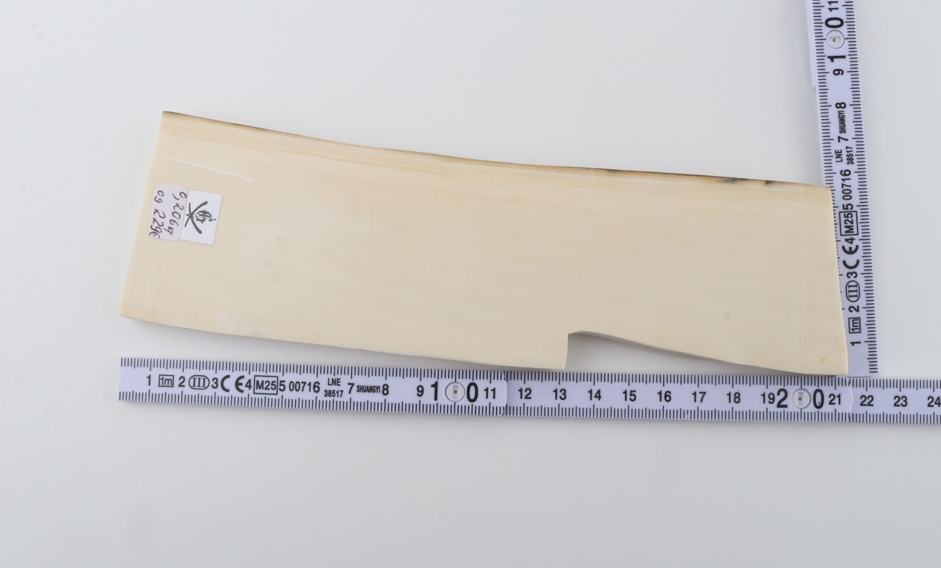 White mammoth ivory segment