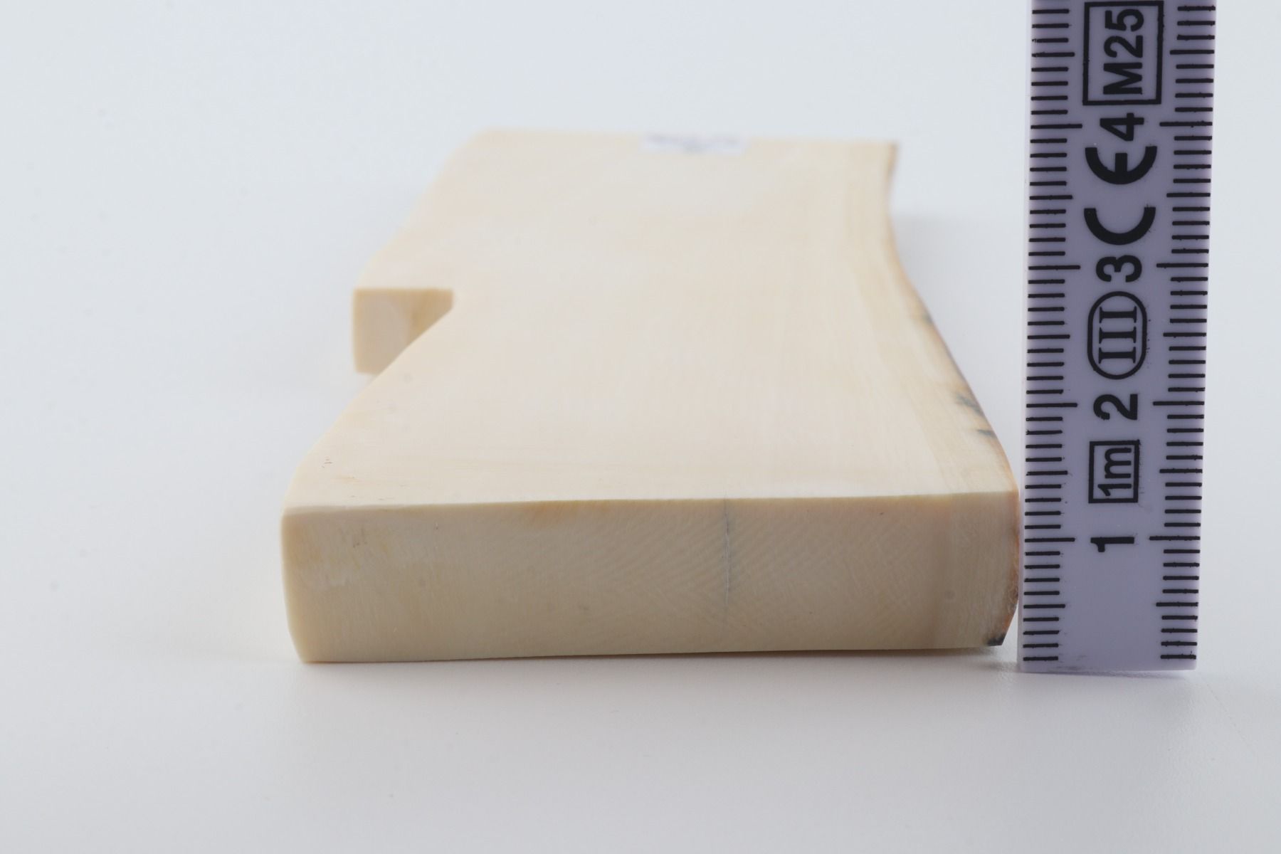 White mammoth ivory segment