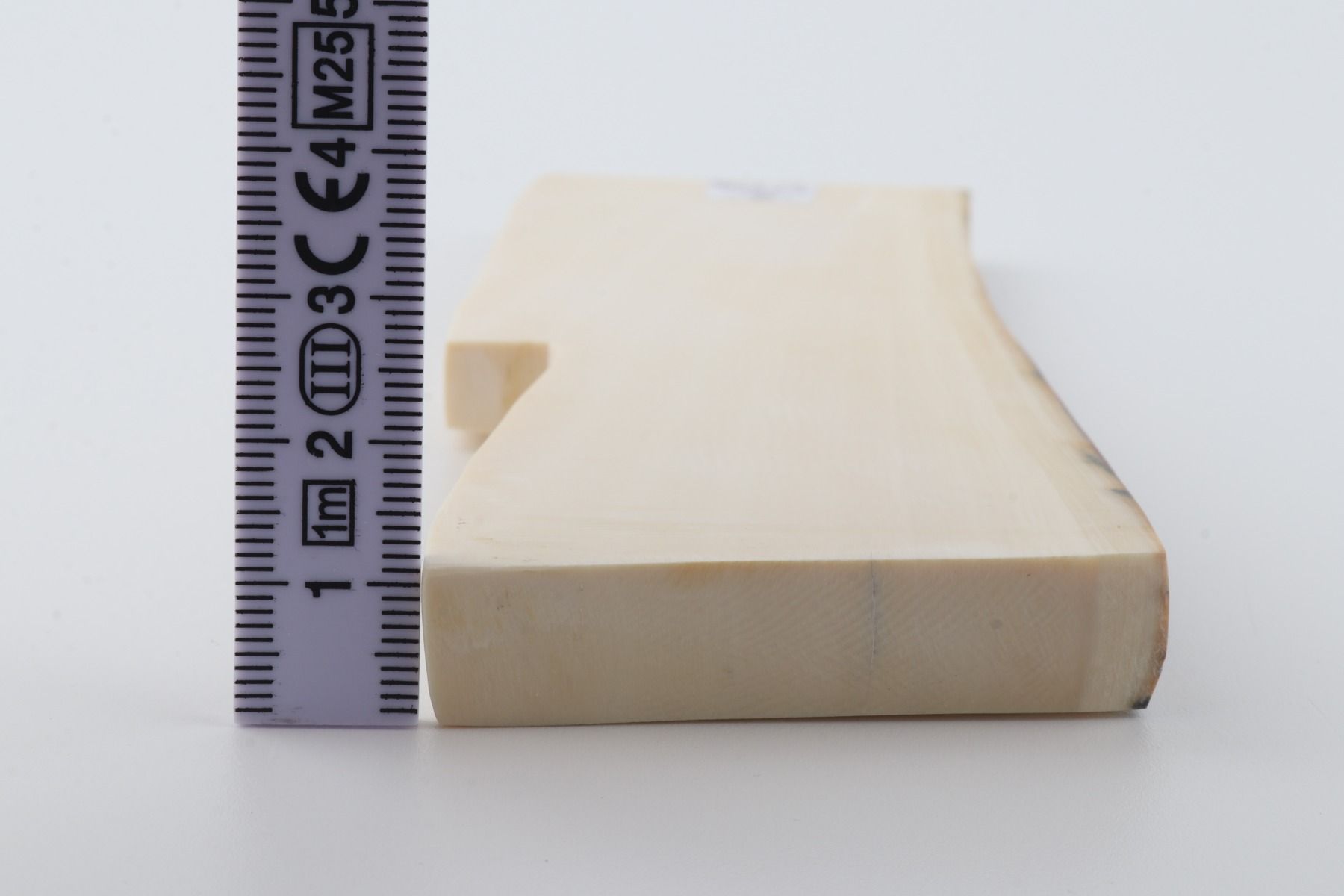 White mammoth ivory segment
