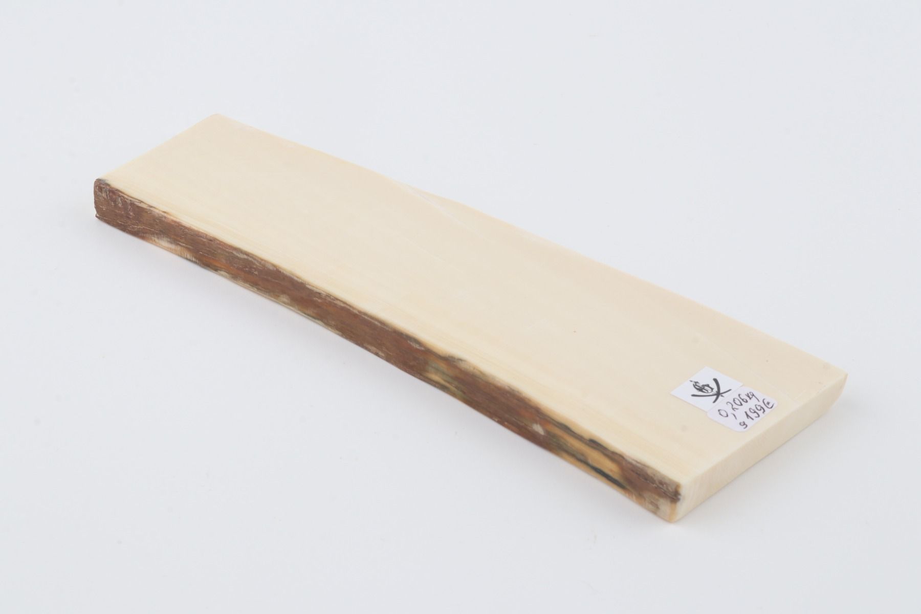 White mammoth ivory segment
