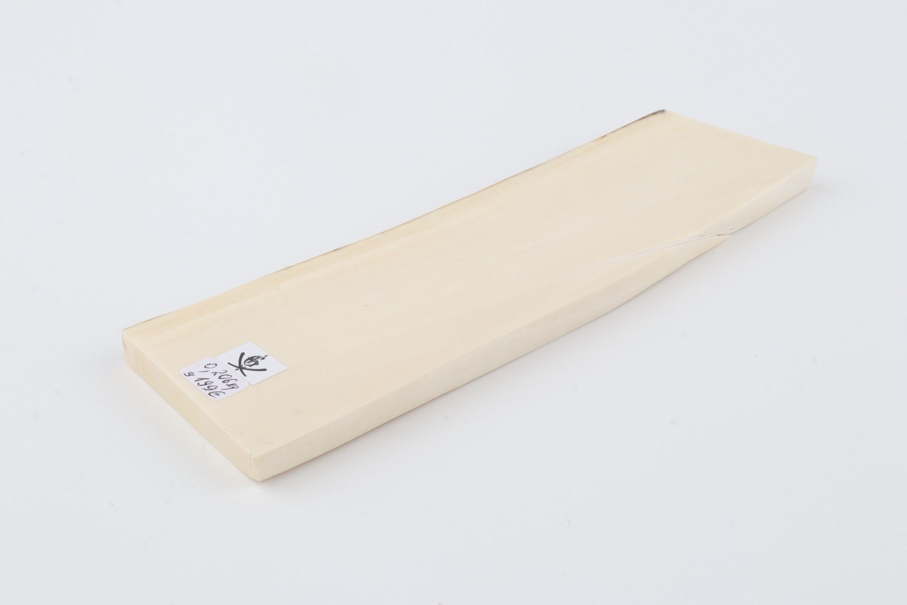 White mammoth ivory segment