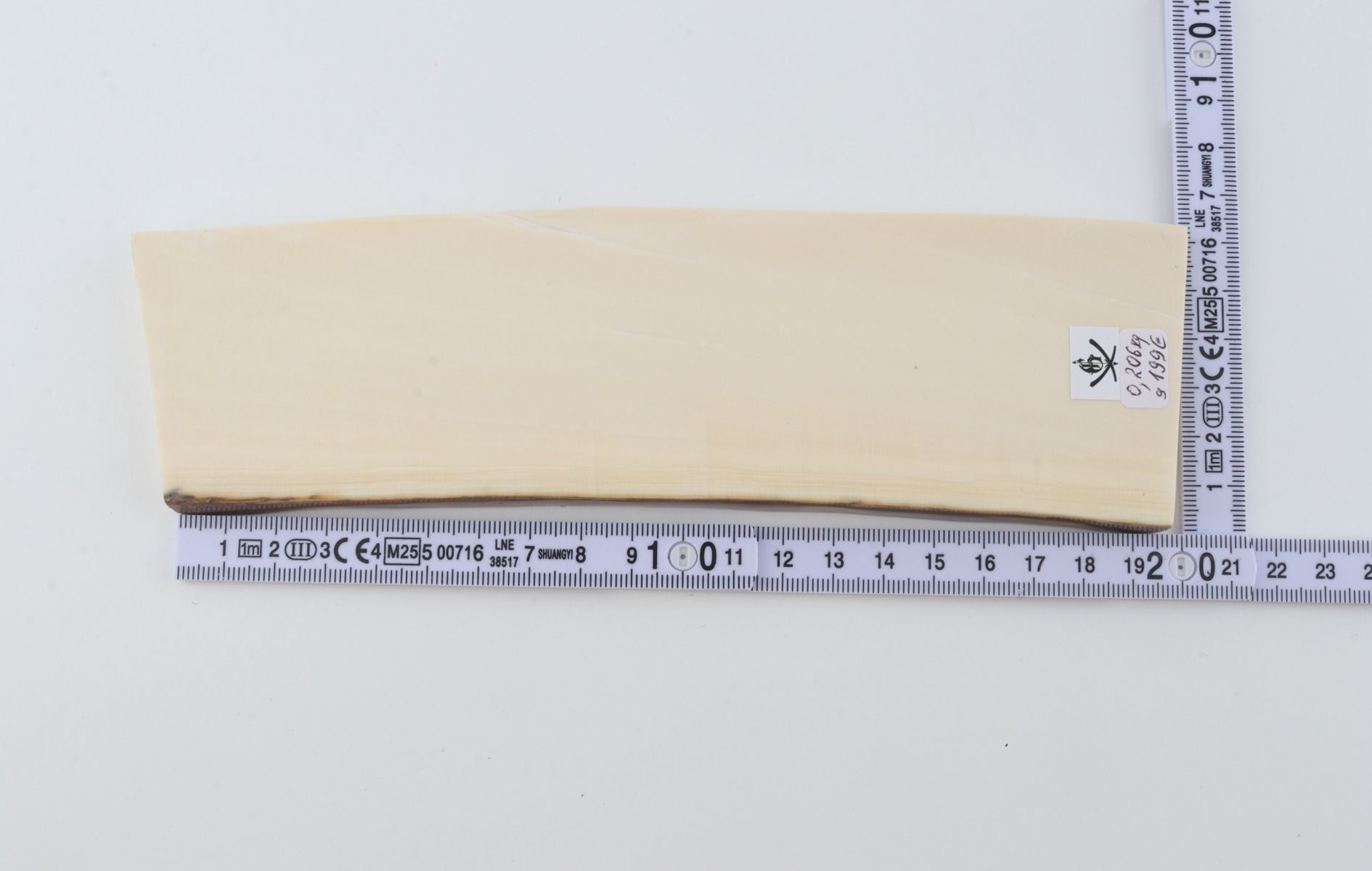White mammoth ivory segment
