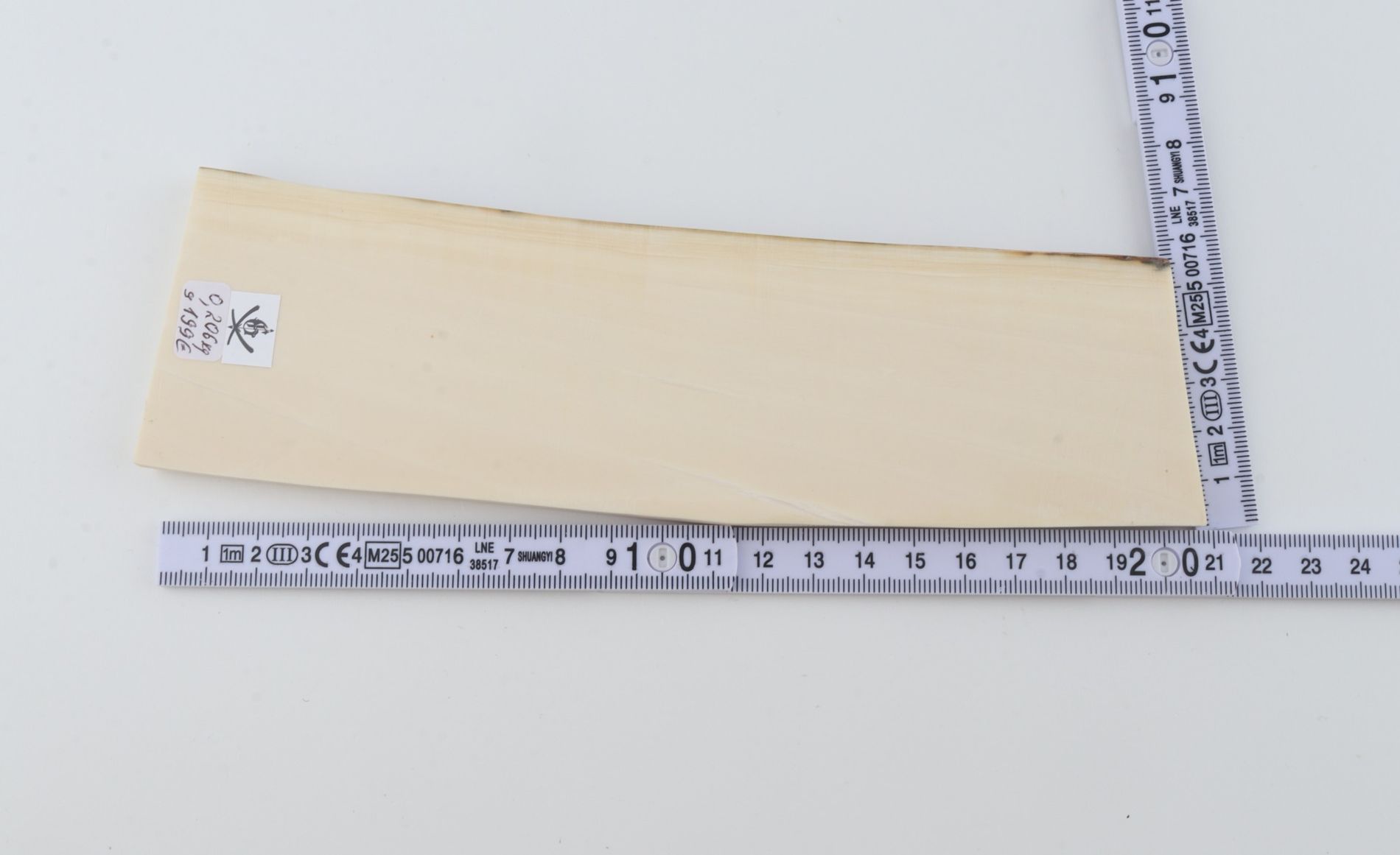 White mammoth ivory segment