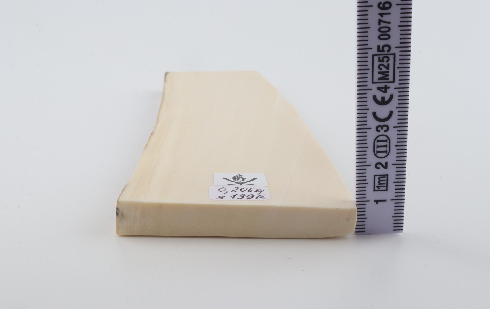White mammoth ivory segment