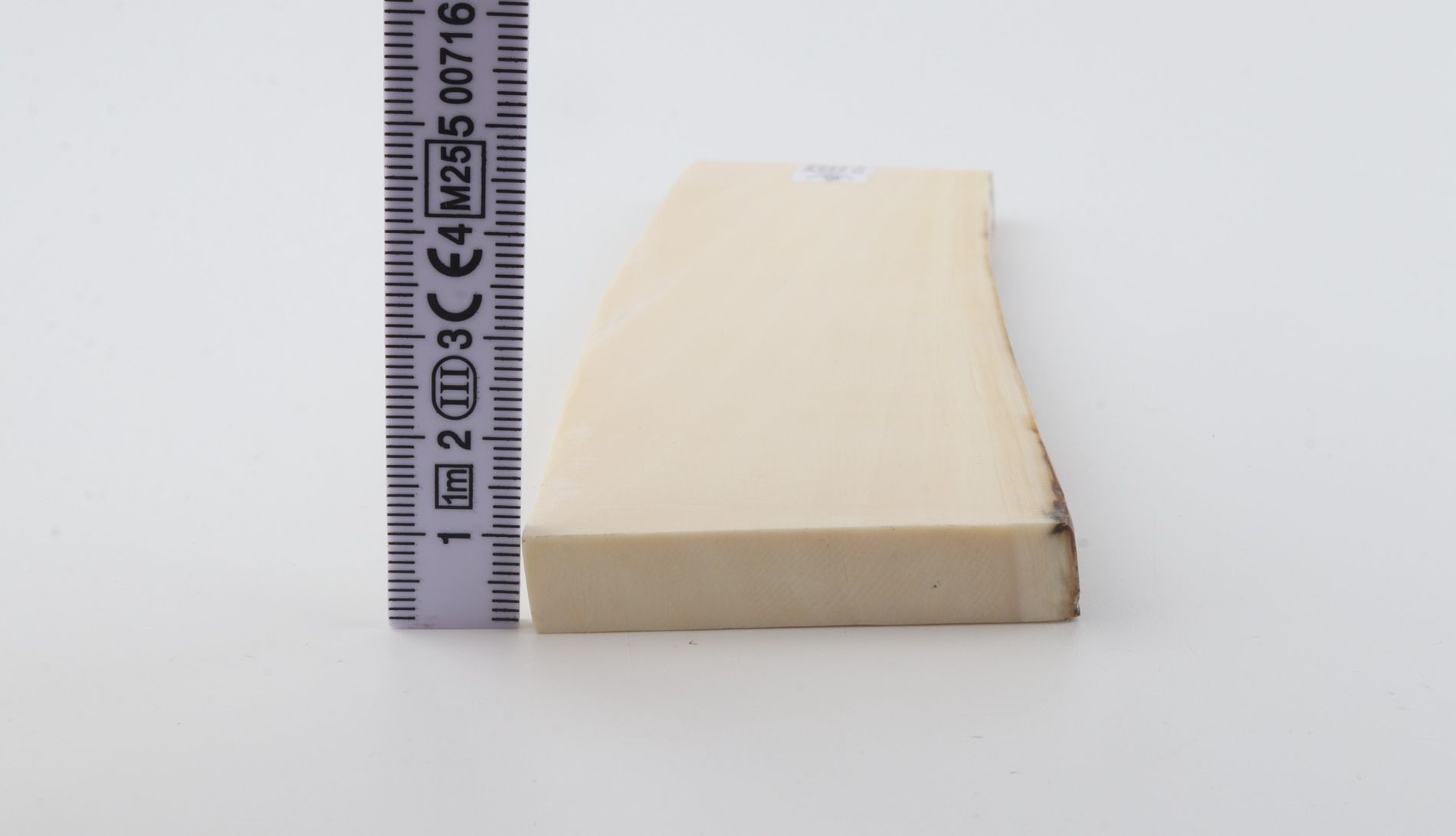White mammoth ivory segment