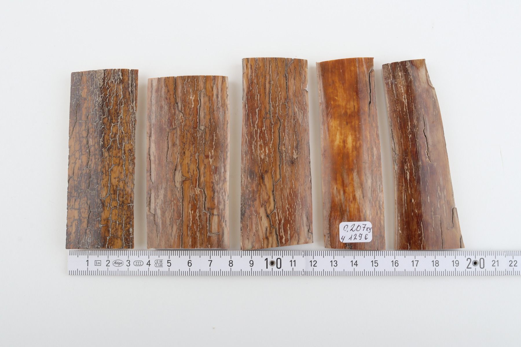 Brown-caramel mammoth bark pieces
