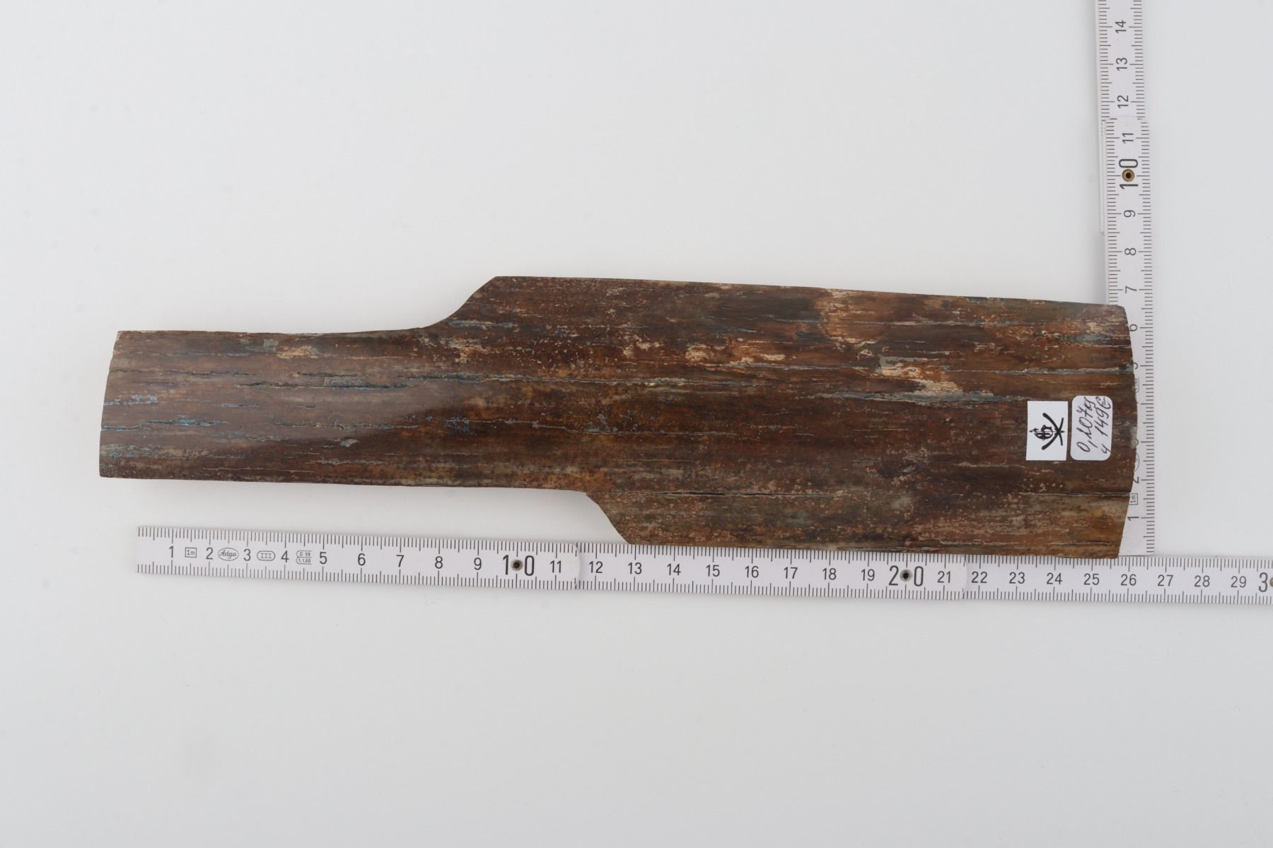 Brown mammoth bark