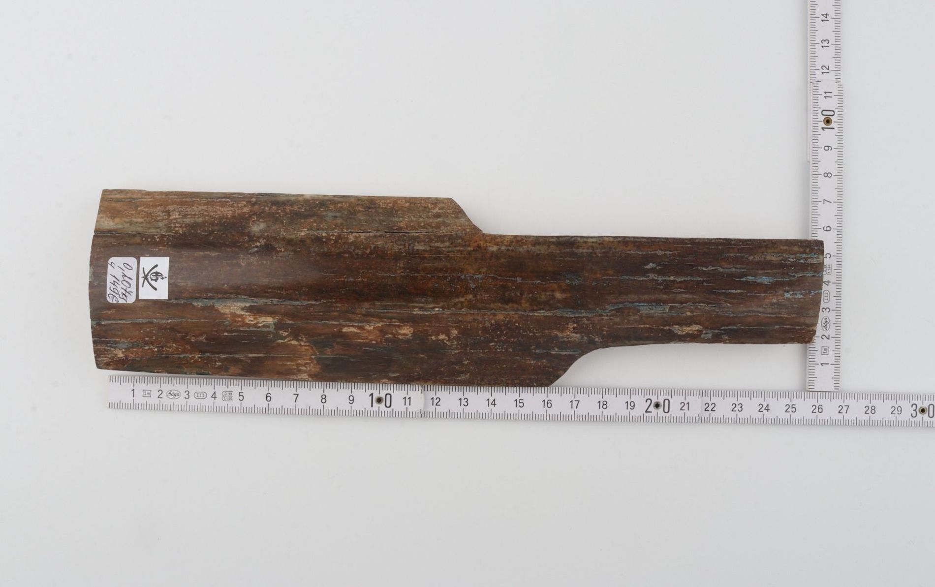 Brown mammoth bark