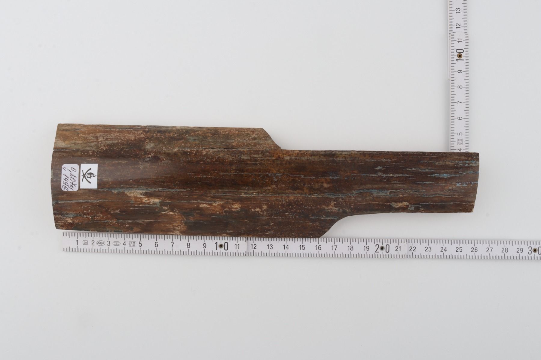 Brown mammoth bark