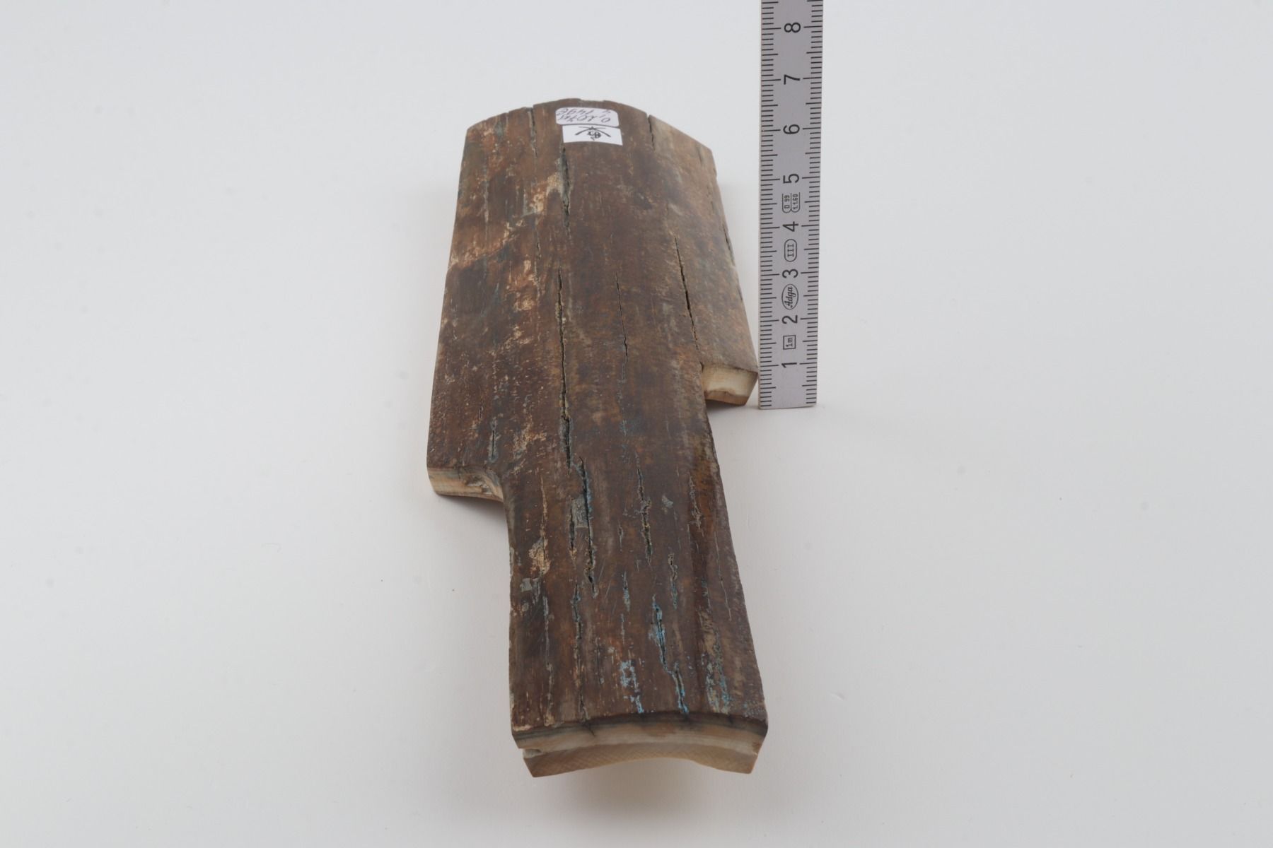Brown mammoth bark