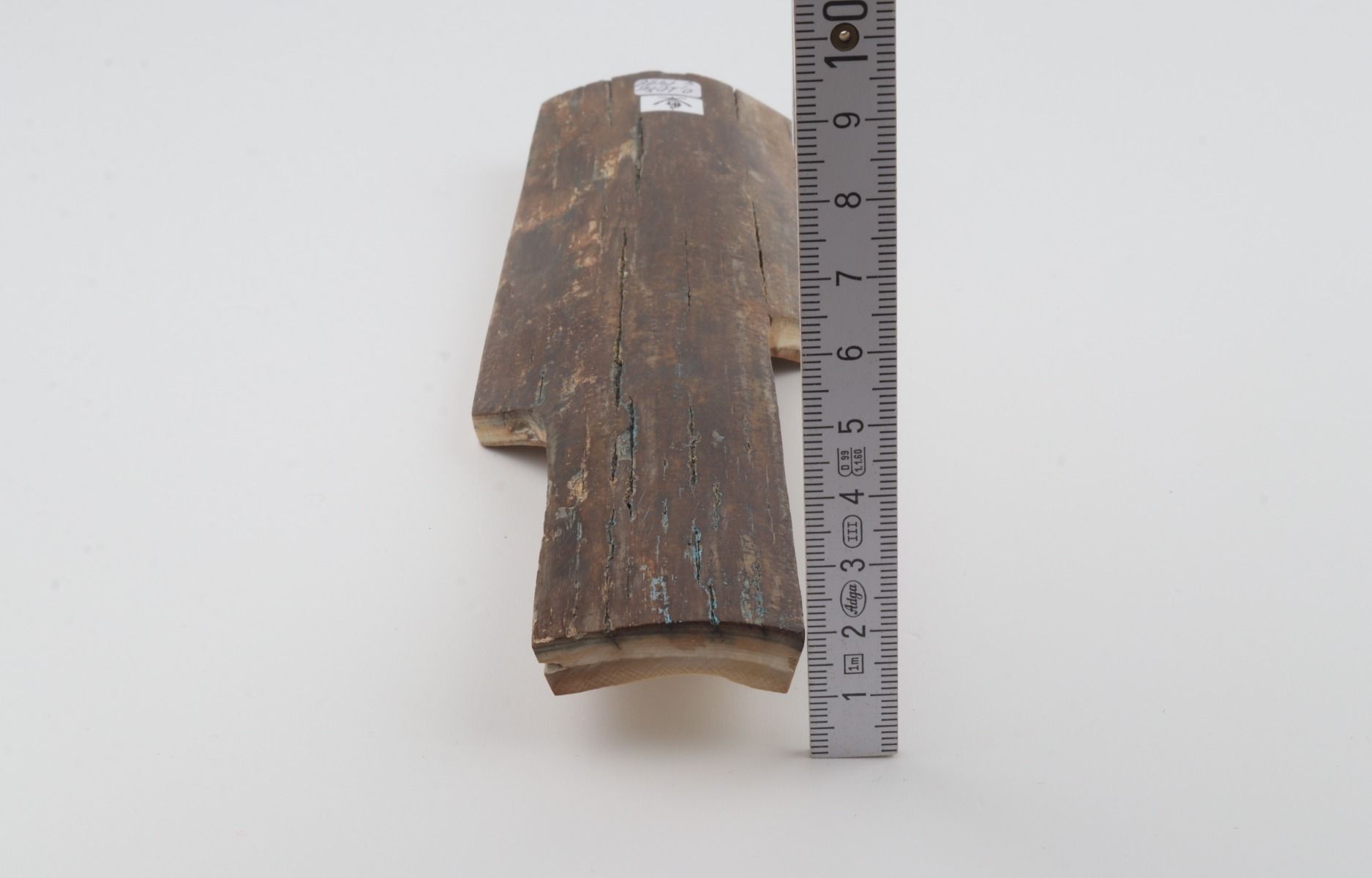 Brown mammoth bark