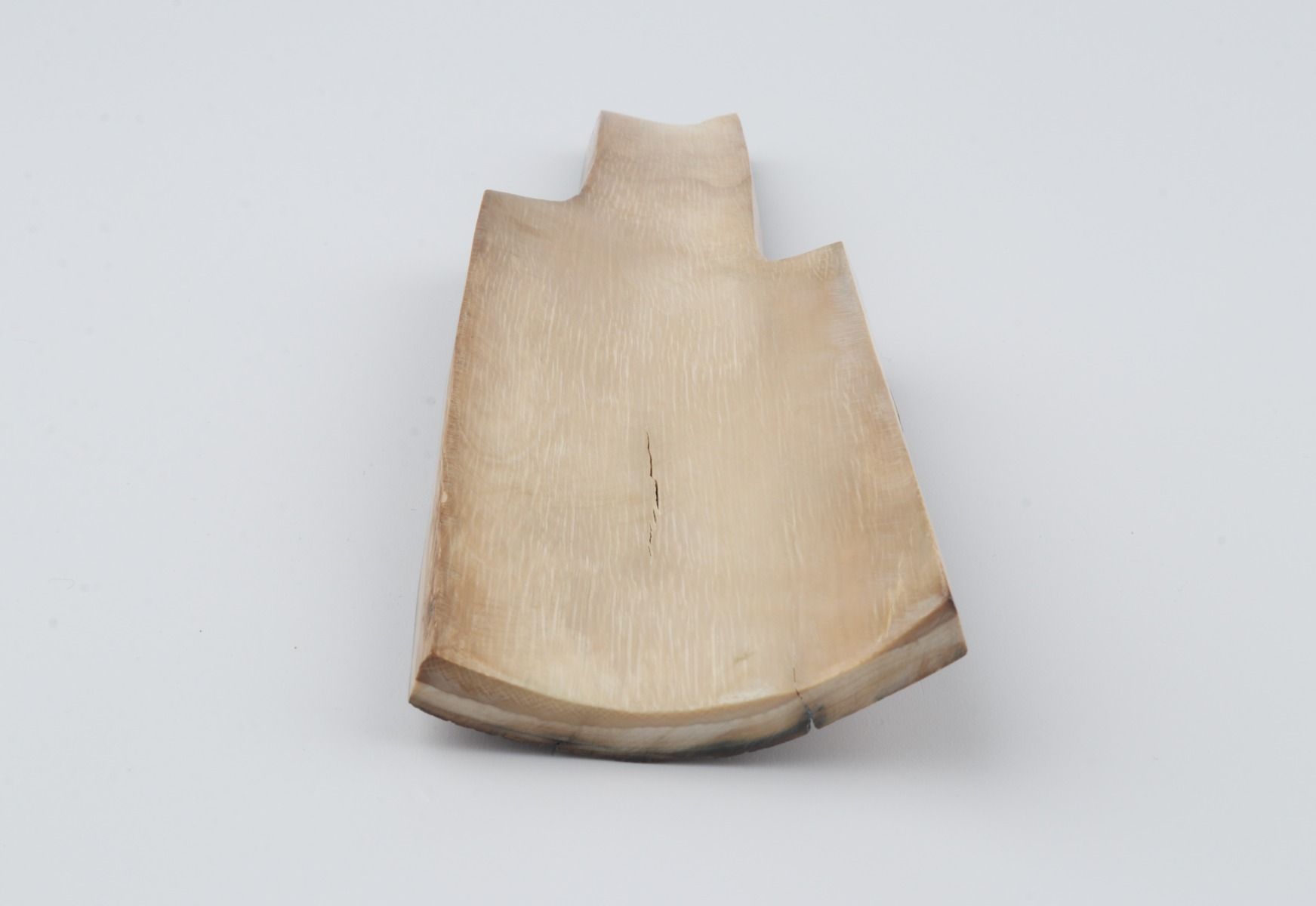 Brown mammoth bark