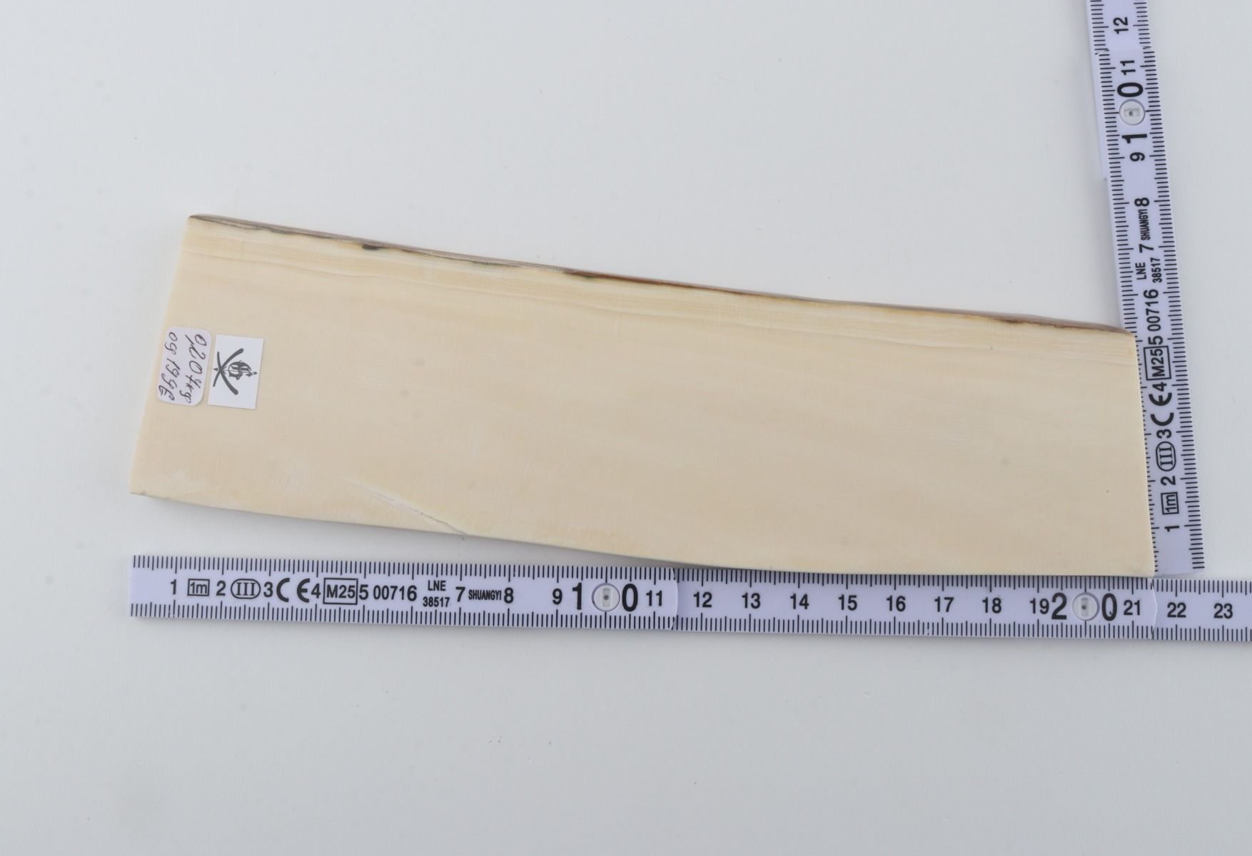 White mammoth ivory segment
