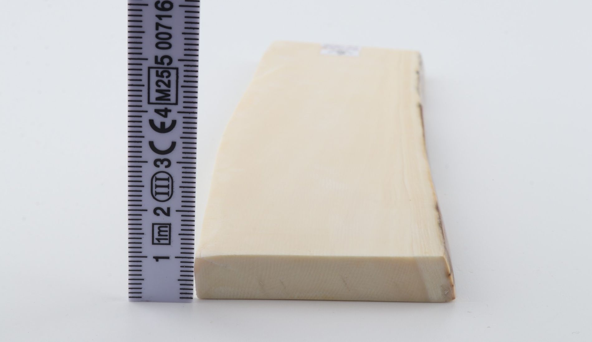 White mammoth ivory segment