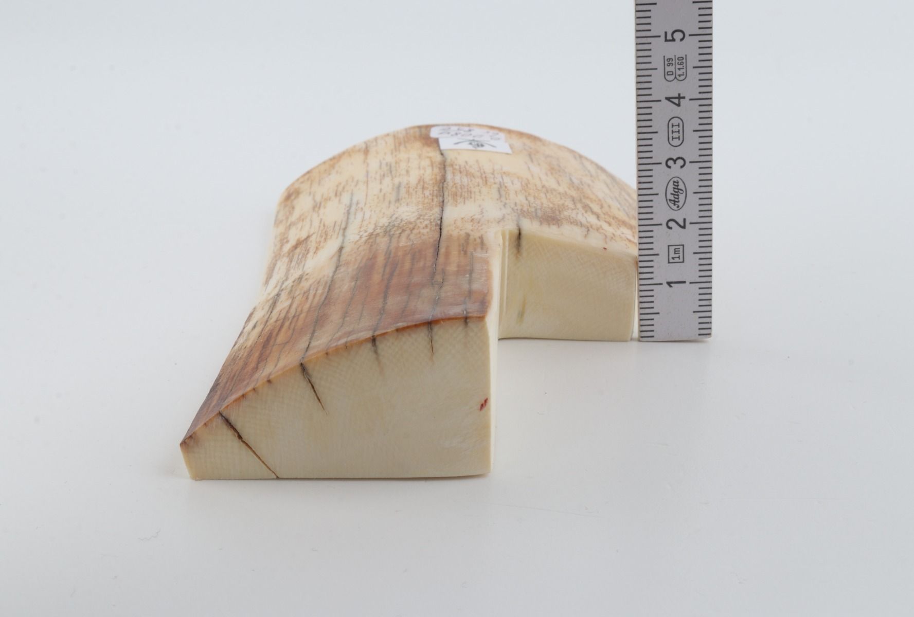 Natural mammoth ivory piece