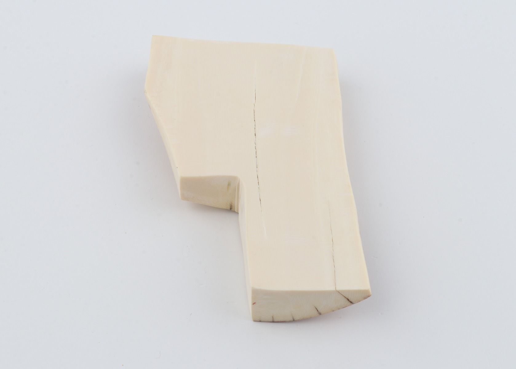 Natural mammoth ivory piece