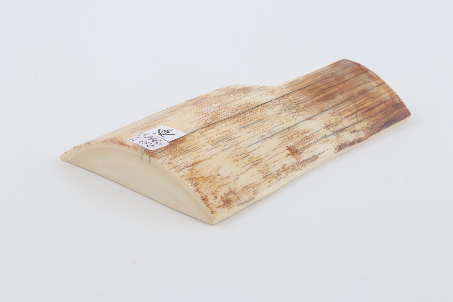 Natural mammoth ivory piece