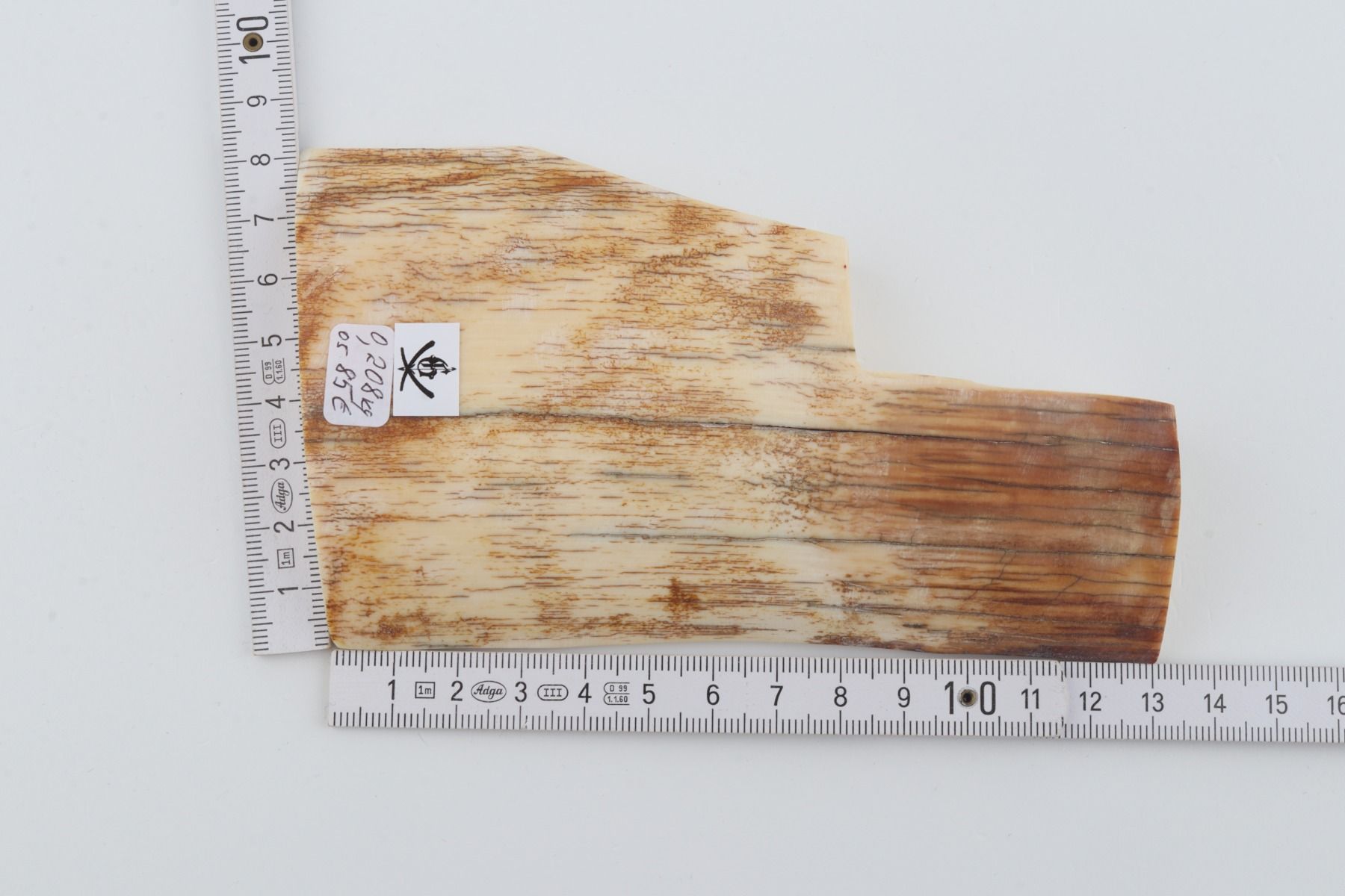 Natural mammoth ivory piece