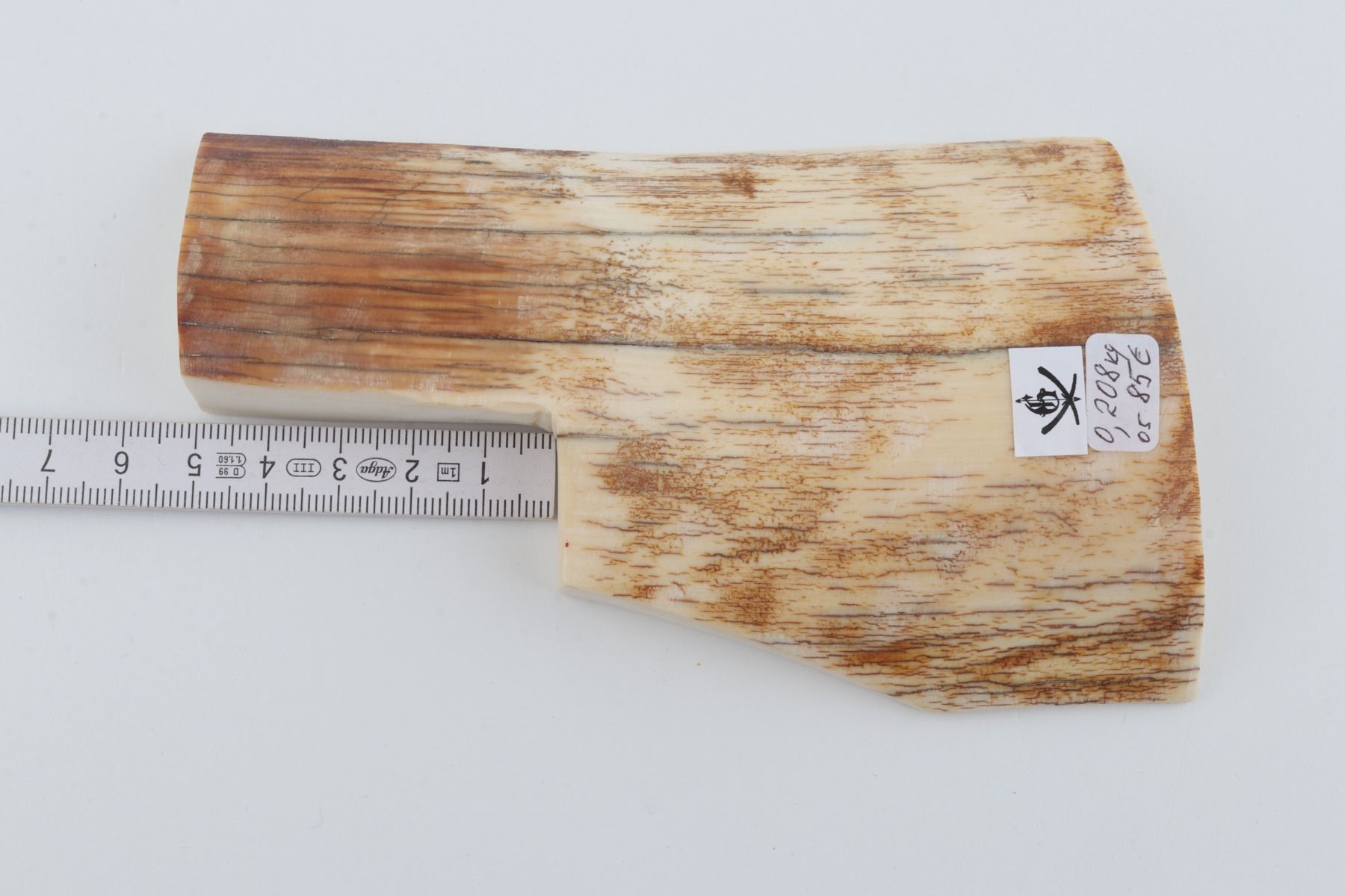Natural mammoth ivory piece