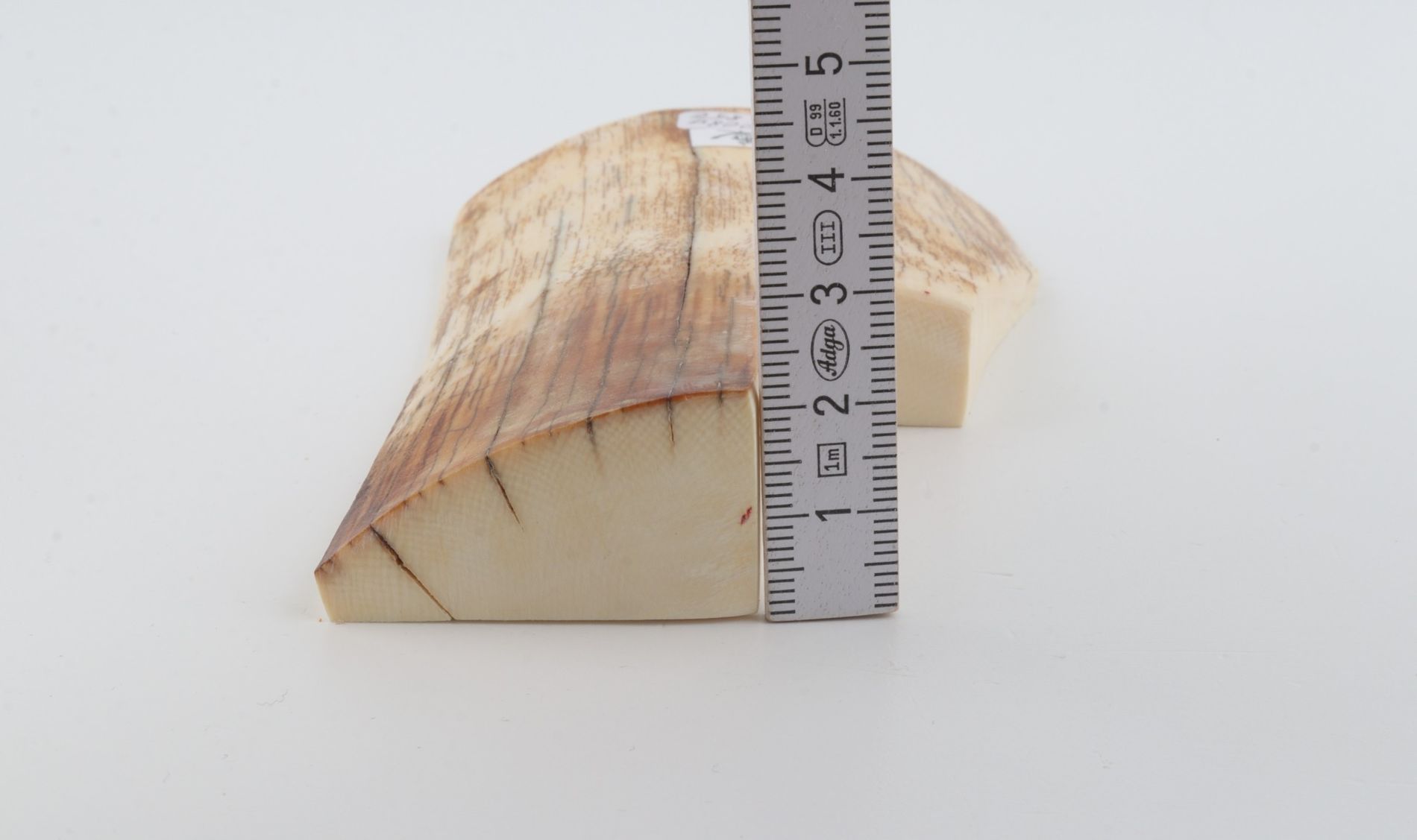 Natural mammoth ivory piece