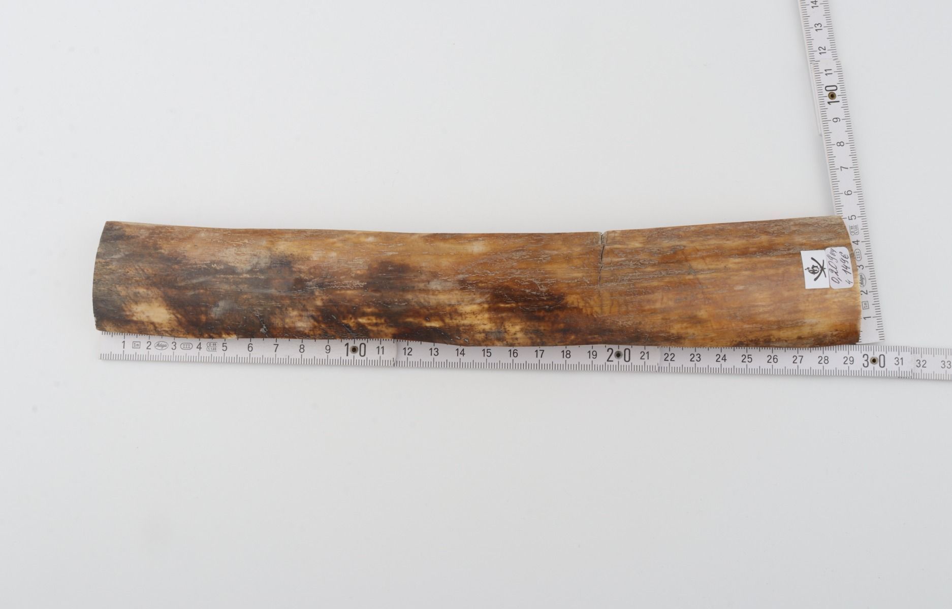 Natural woolly mammoth bark