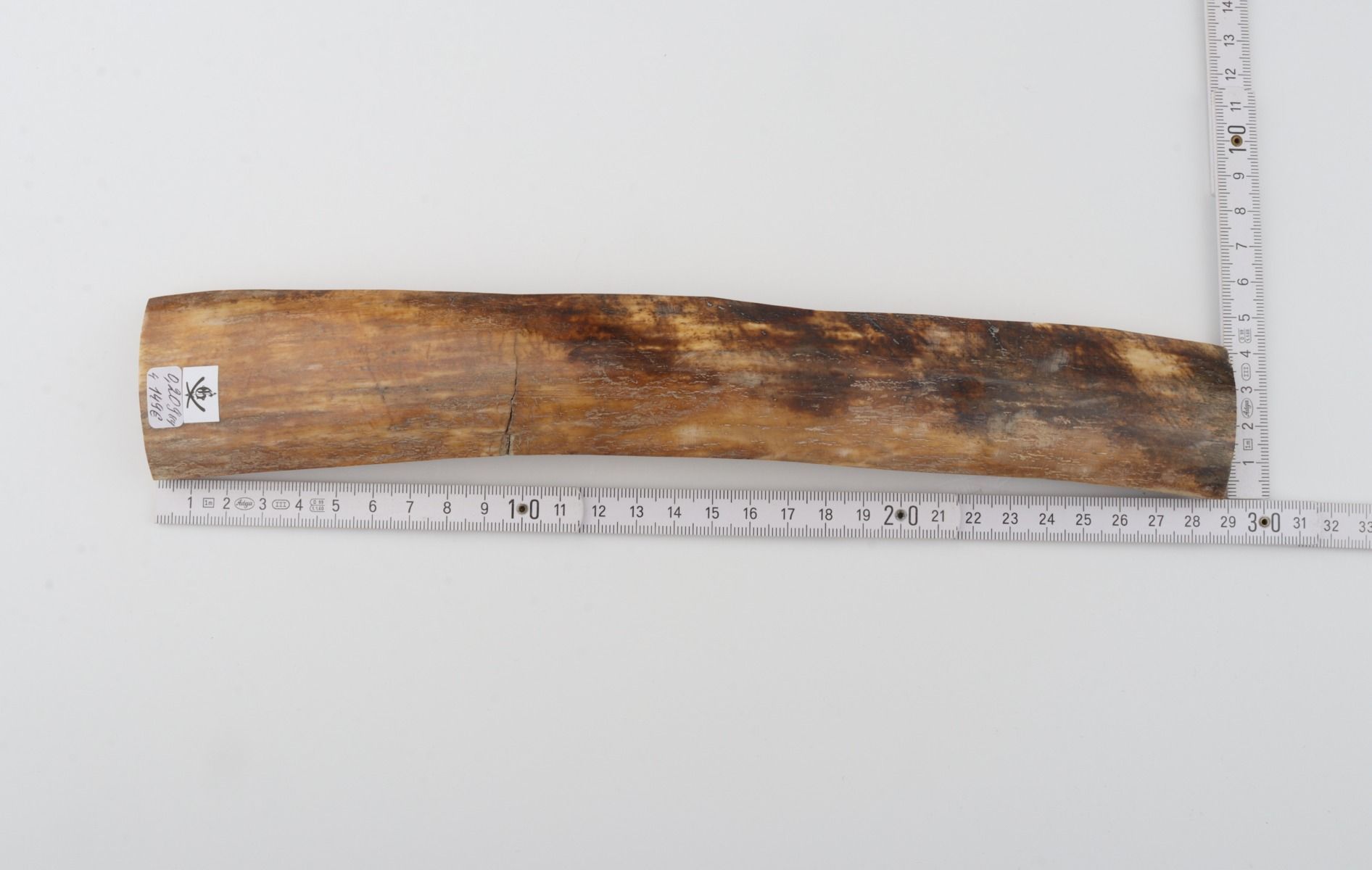 Natural woolly mammoth bark