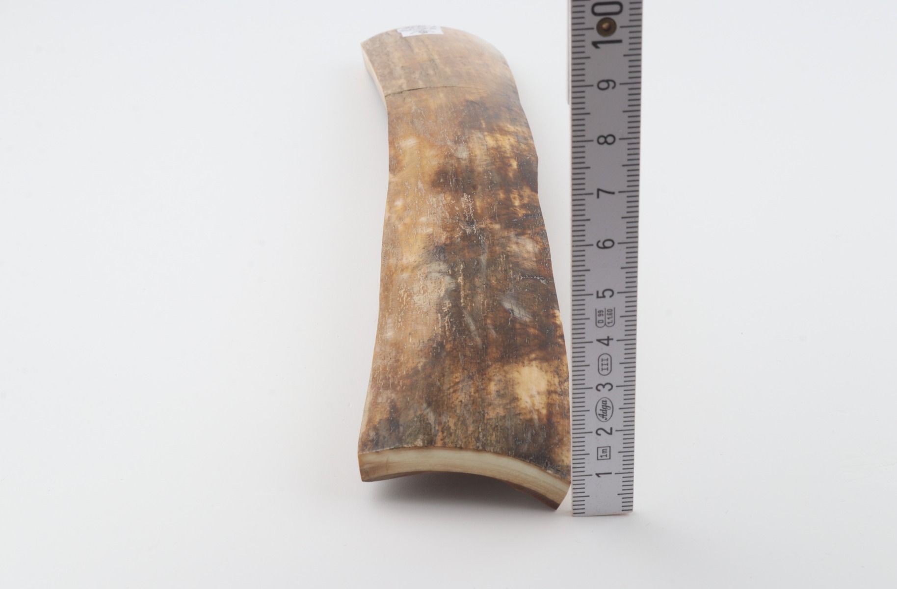 Natural woolly mammoth bark